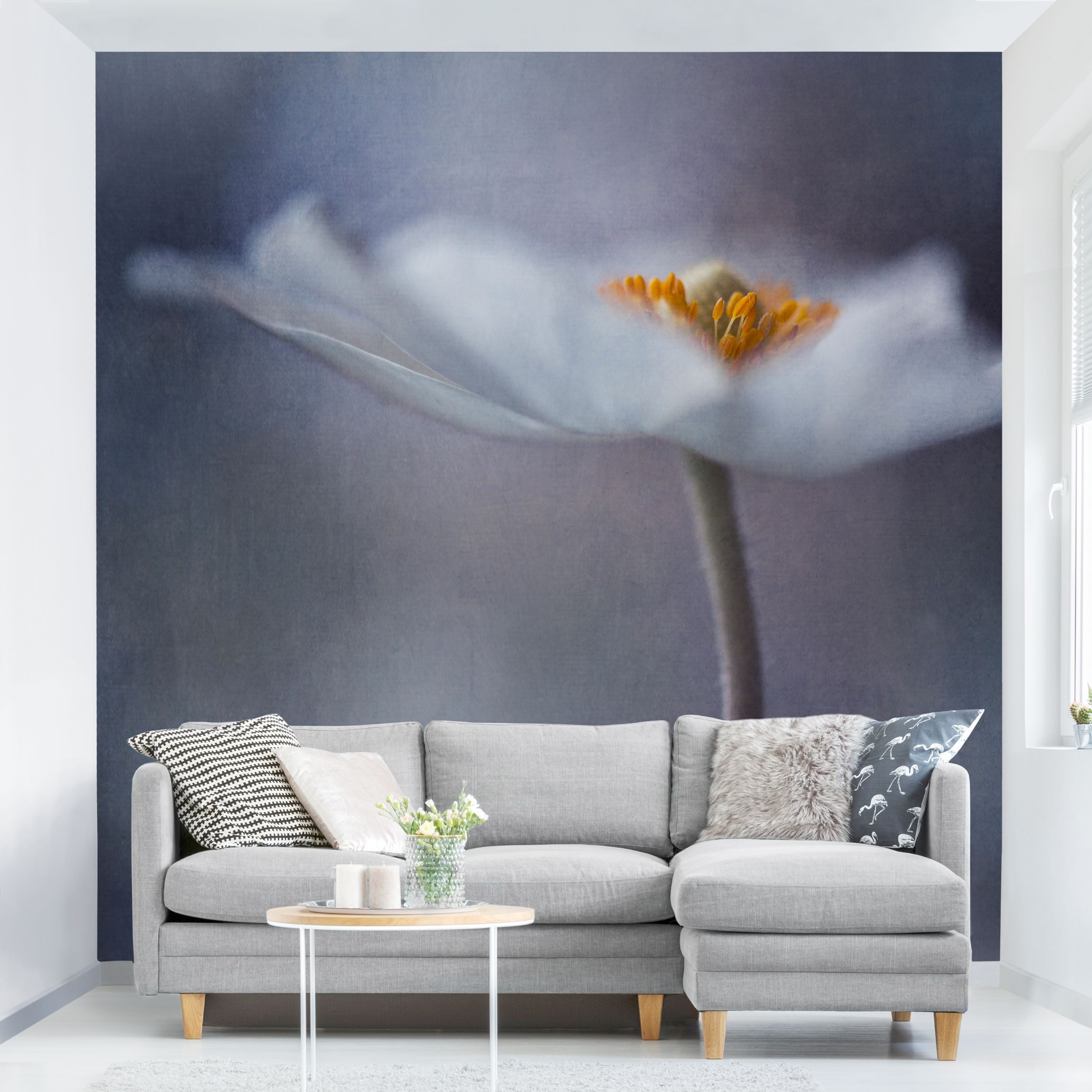 Fototapete Blumen Weiße Anemonenblüte