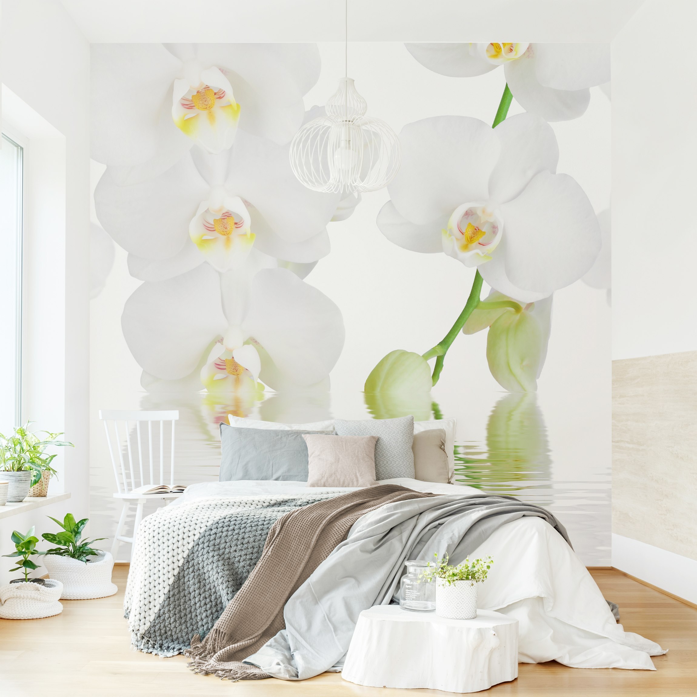 Fototapete Blumen Wellness Orchidee - Weiße Orchidee