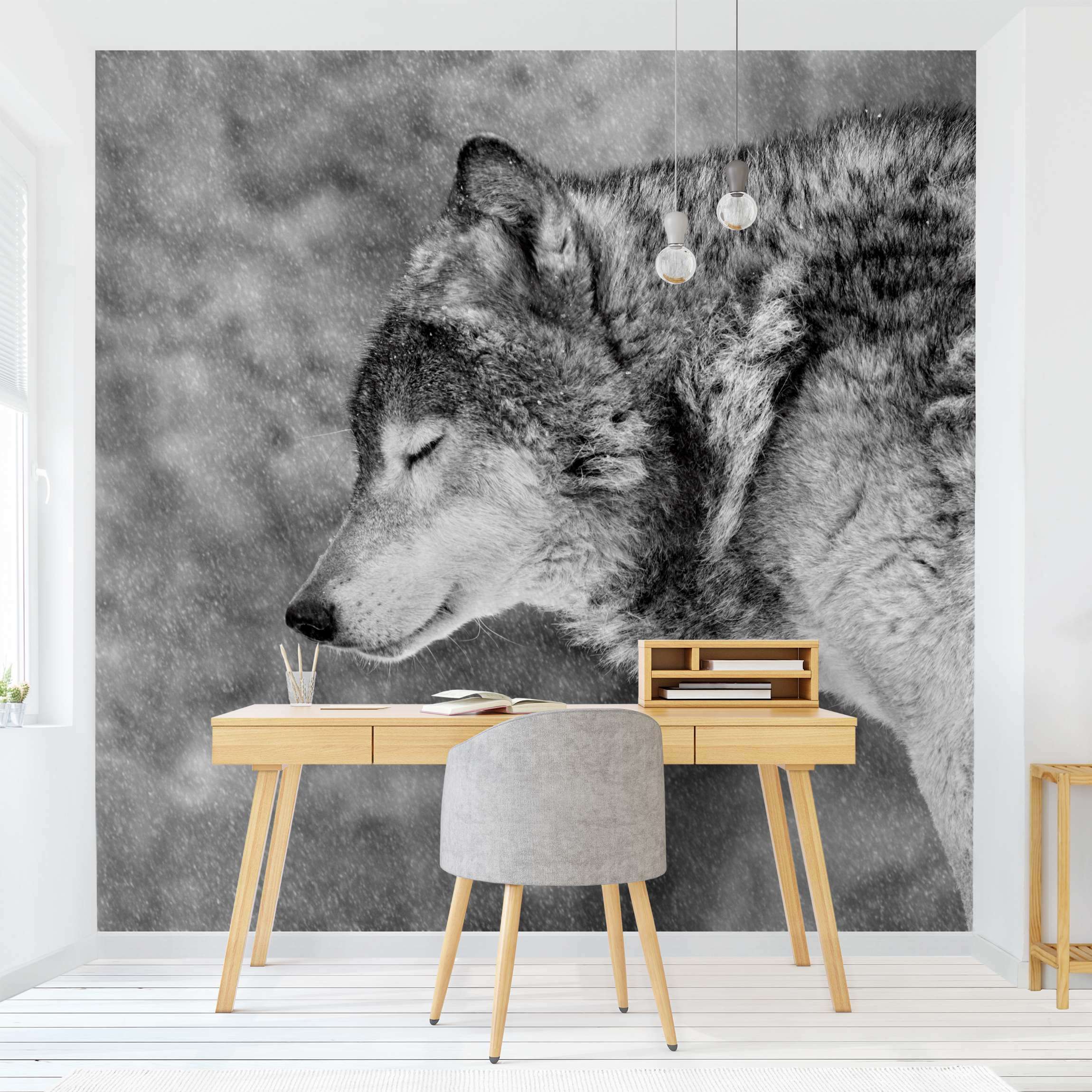 Fototapete Tiere Winter Wolf