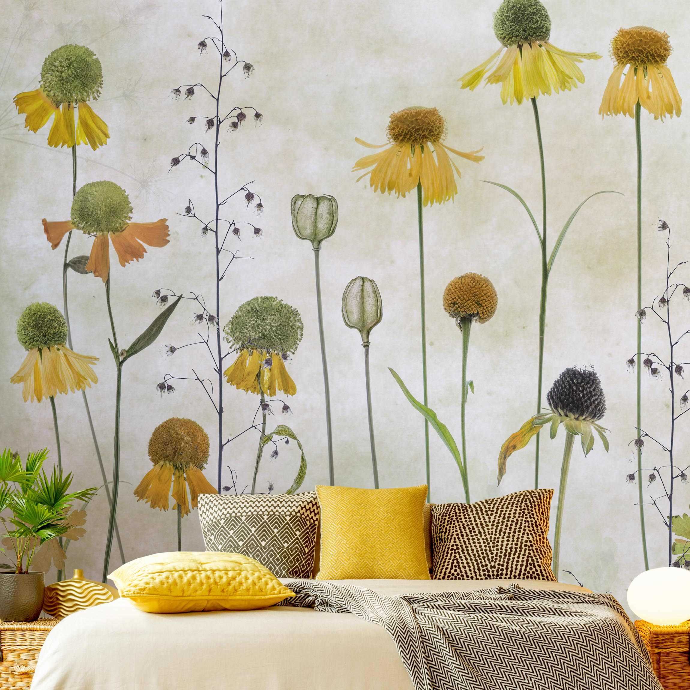 Fototapete Zarte Helenium Blüten