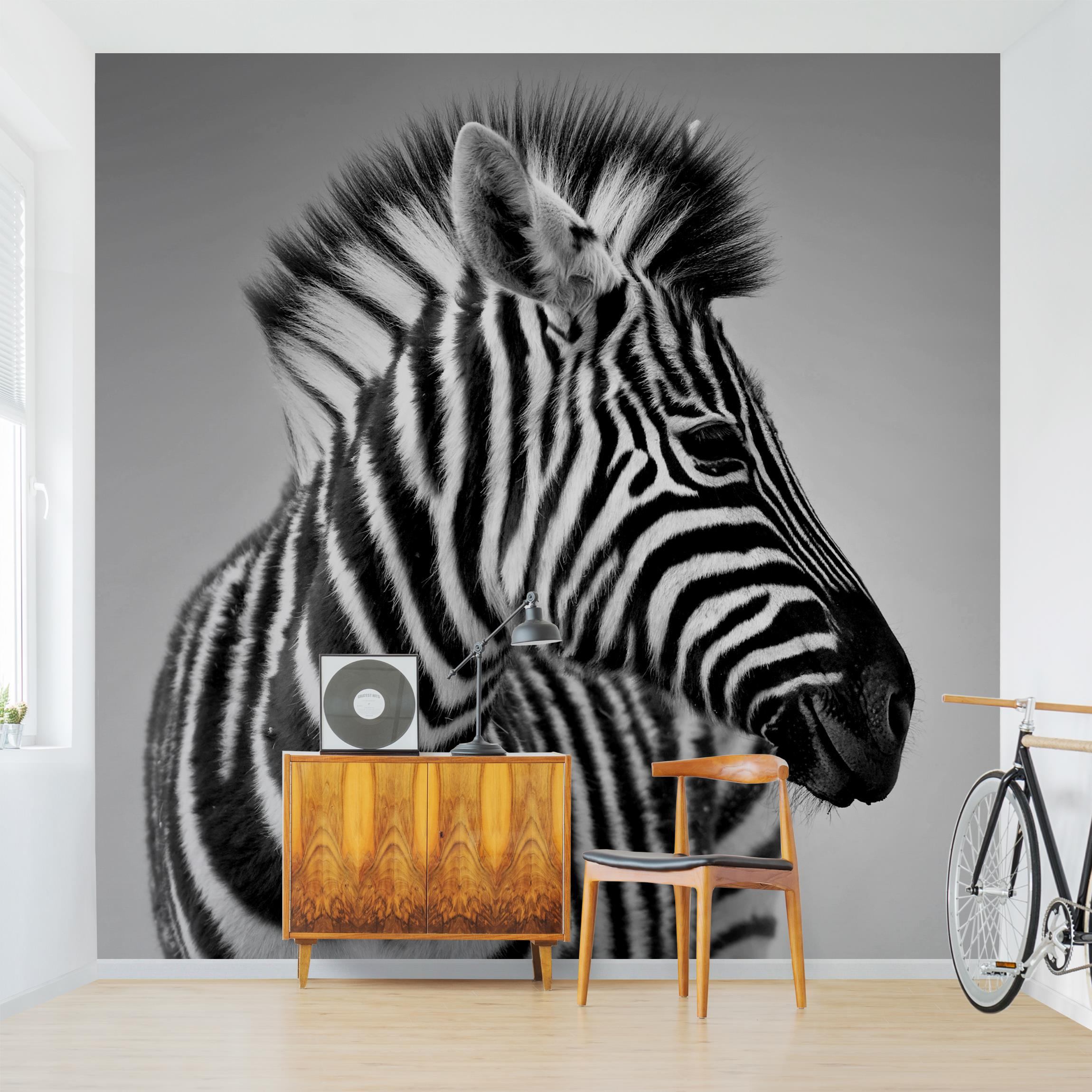 Fototapete Zebra Baby Portrait II