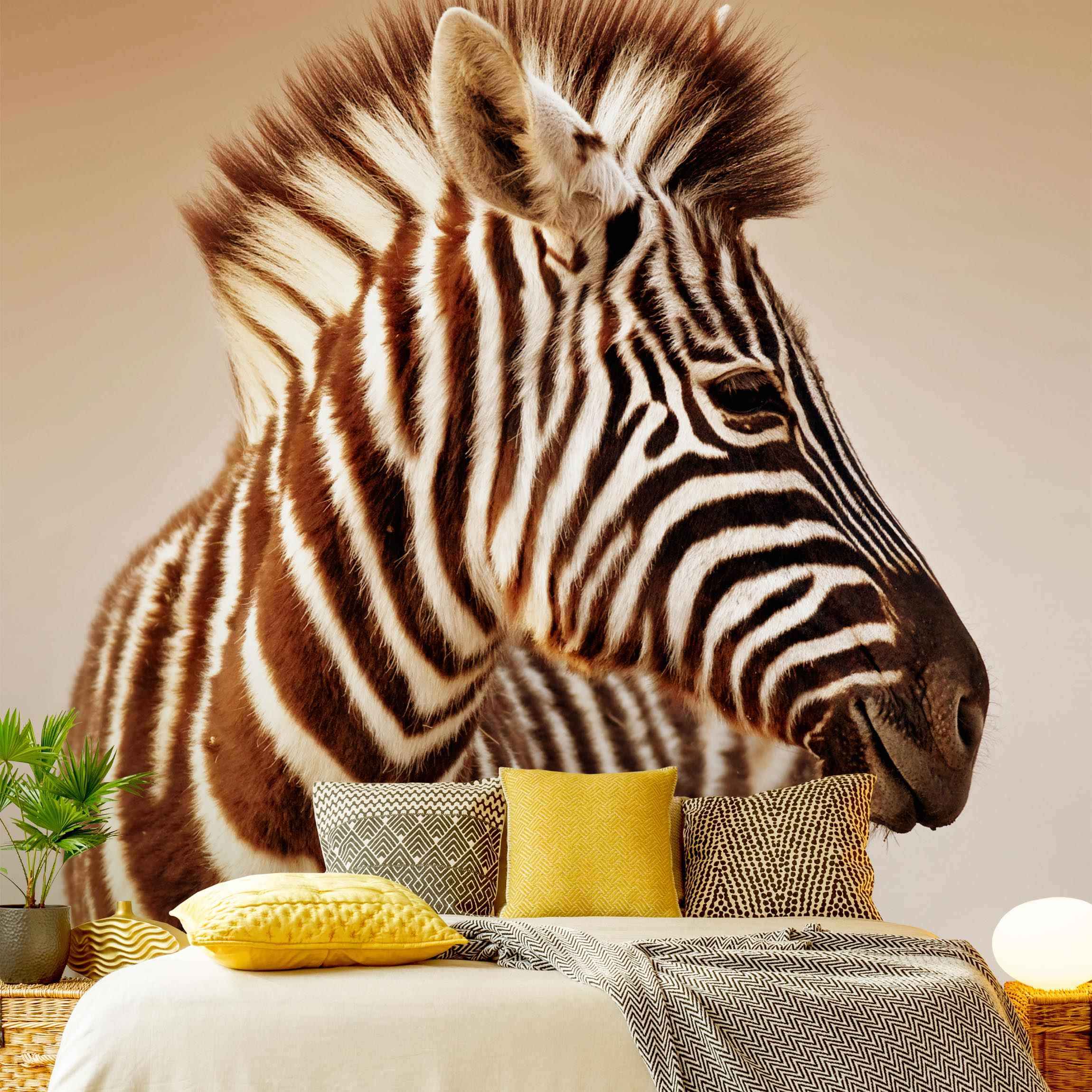 Fototapete Zebra Baby Portrait