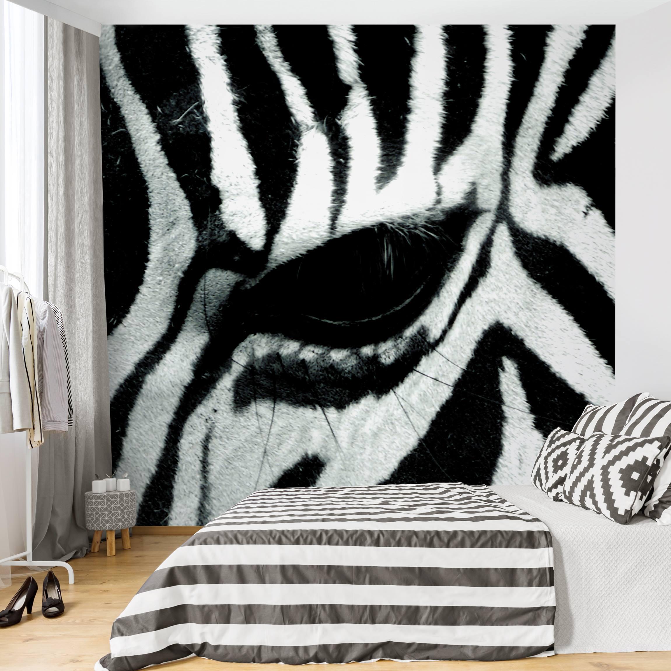 Fototapete Tiere Zebra Crossing No.4