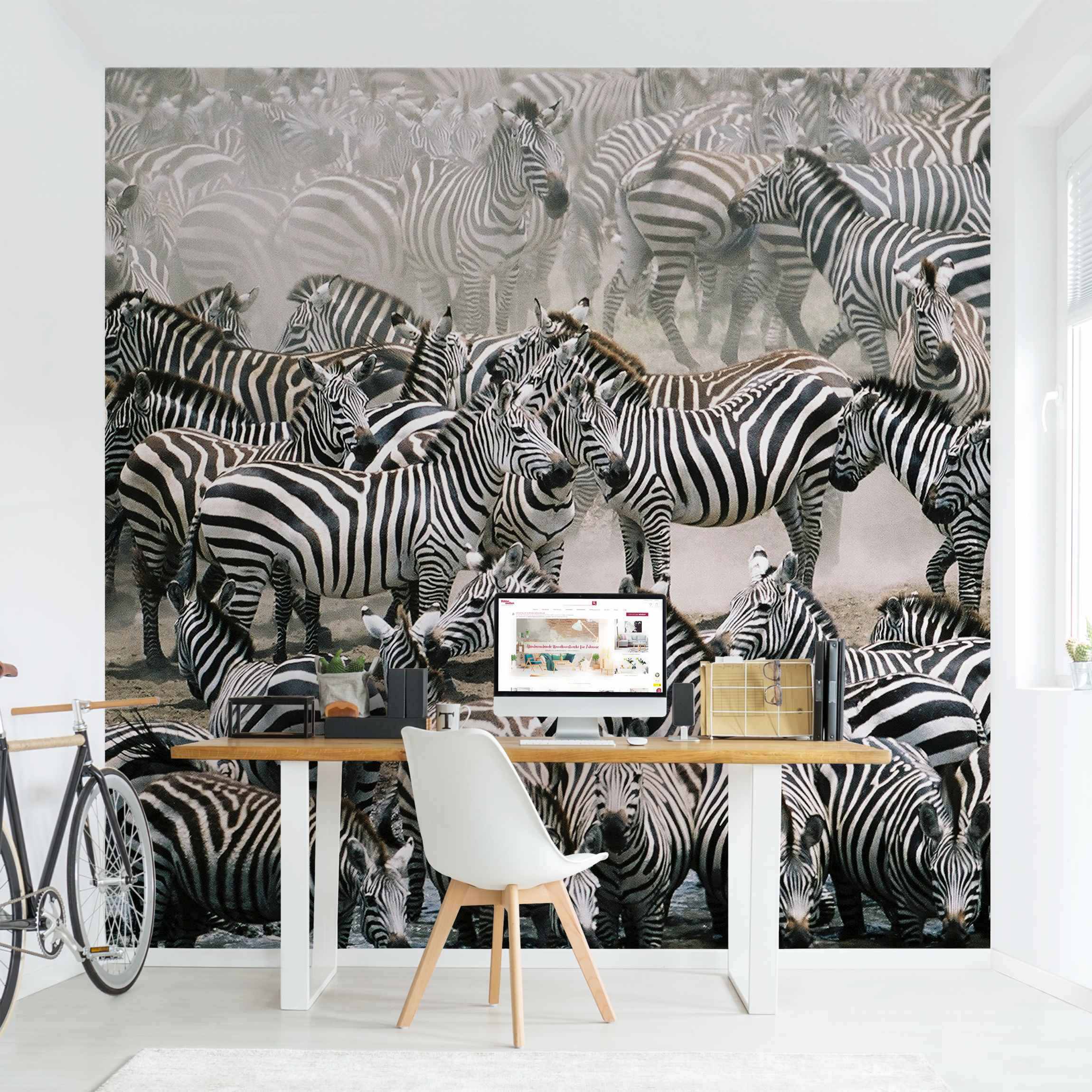 Fototapete Tiere Zebraherde
