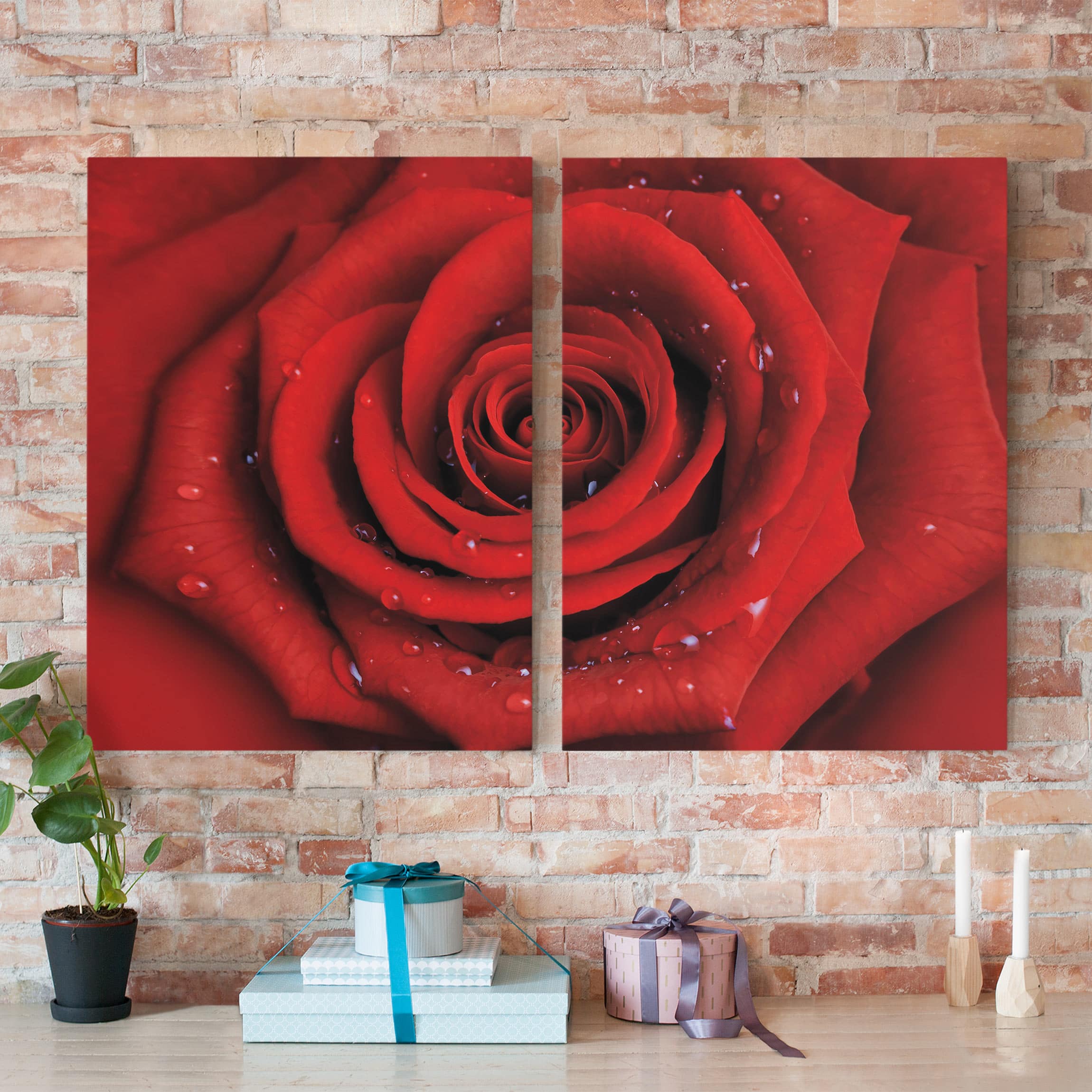 2-teiliges Leinwandbild Blumen Rote Rose mit Wassertropfen
