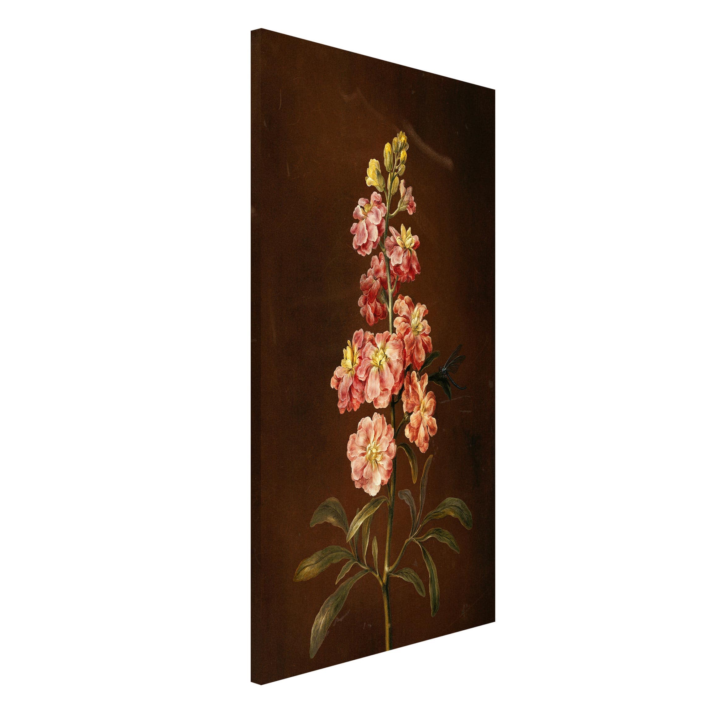 Magnettafel Blumen - Hochformat 3:4 Barbara Regina Dietzsch - Eine rosa Garten-Levkkoje