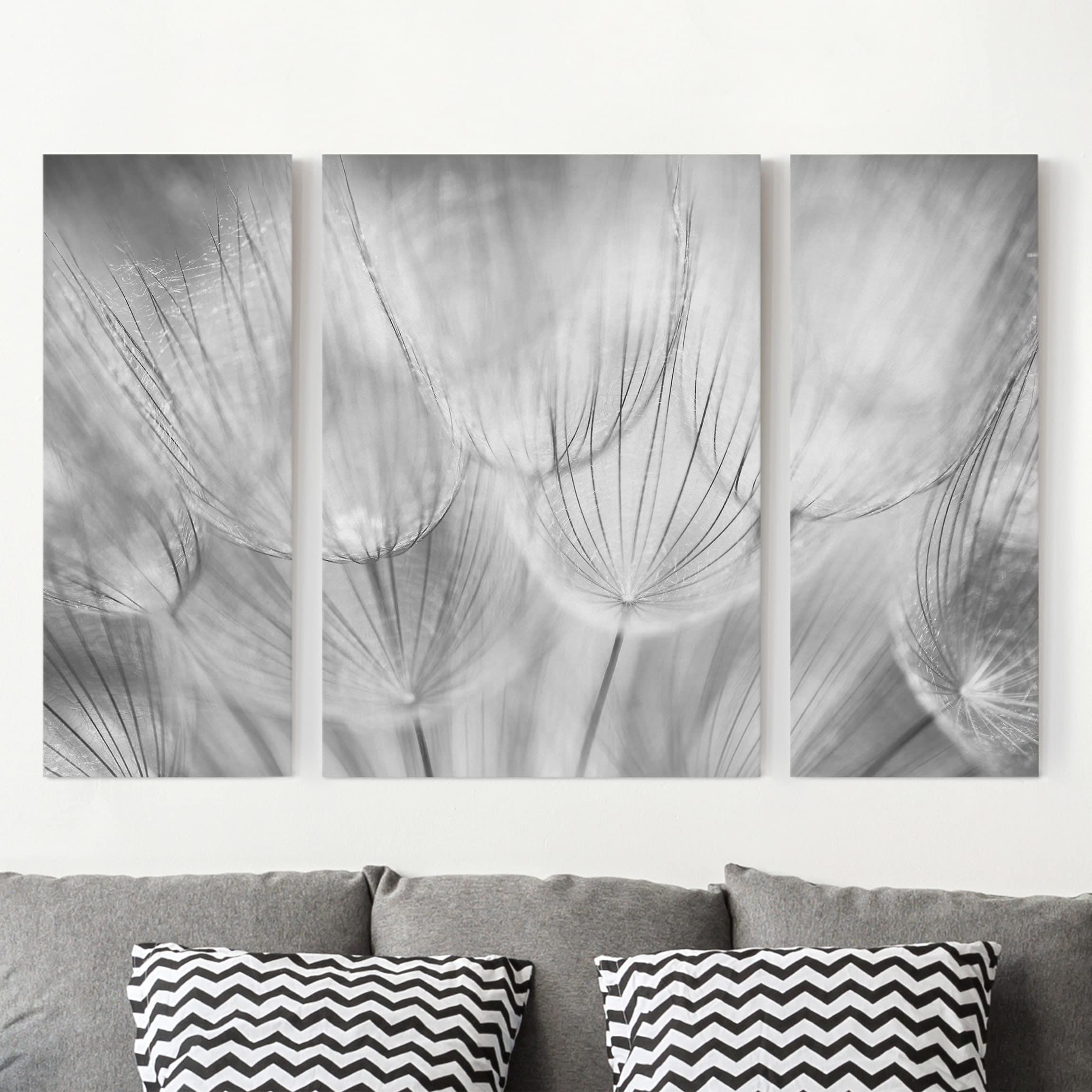 3-teiliges Leinwandbild Blumen Pusteblumen Makroaufnahme in schwarz weiß