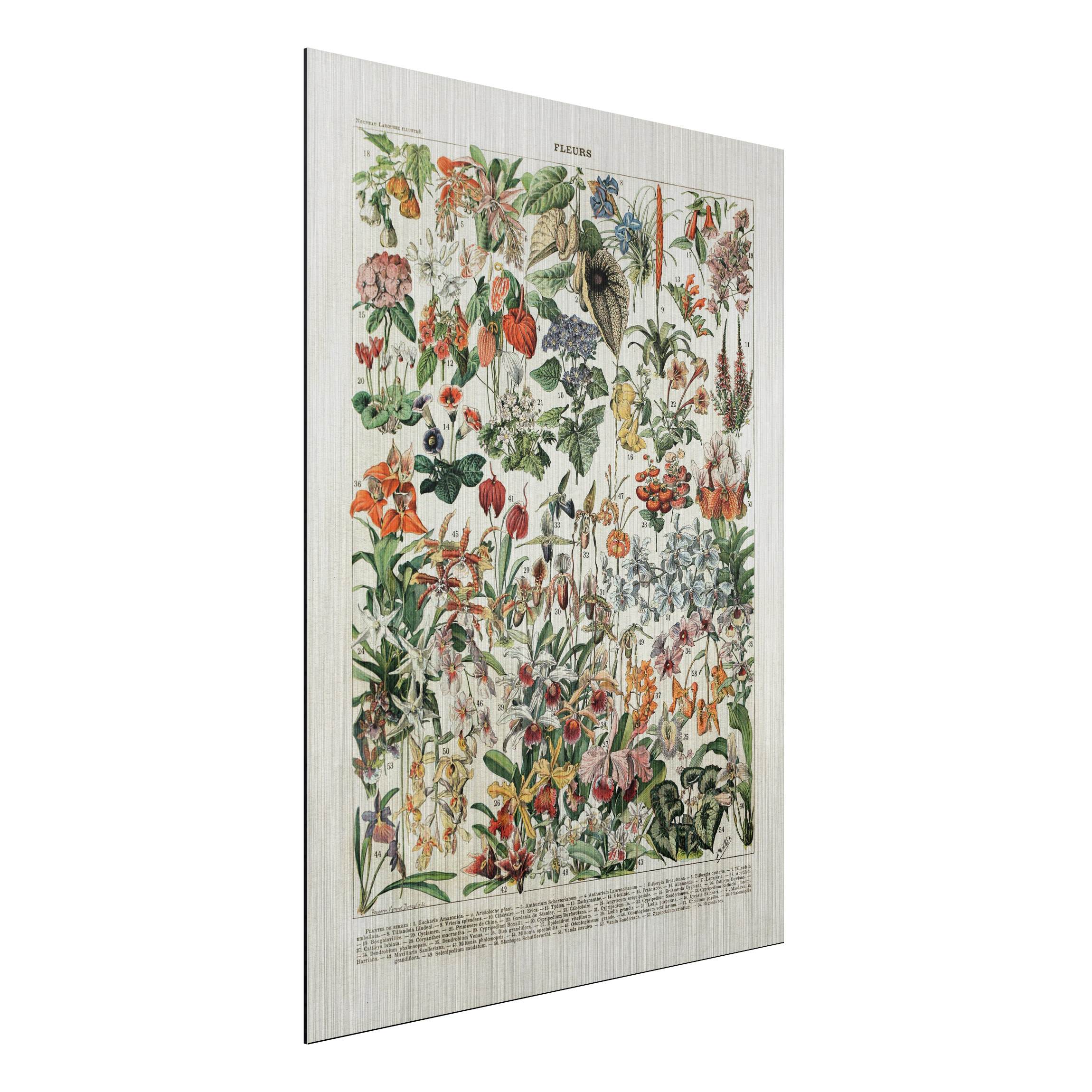 Alu-Dibond Outdoor Bild Vintage Lehrtafel Blumen III