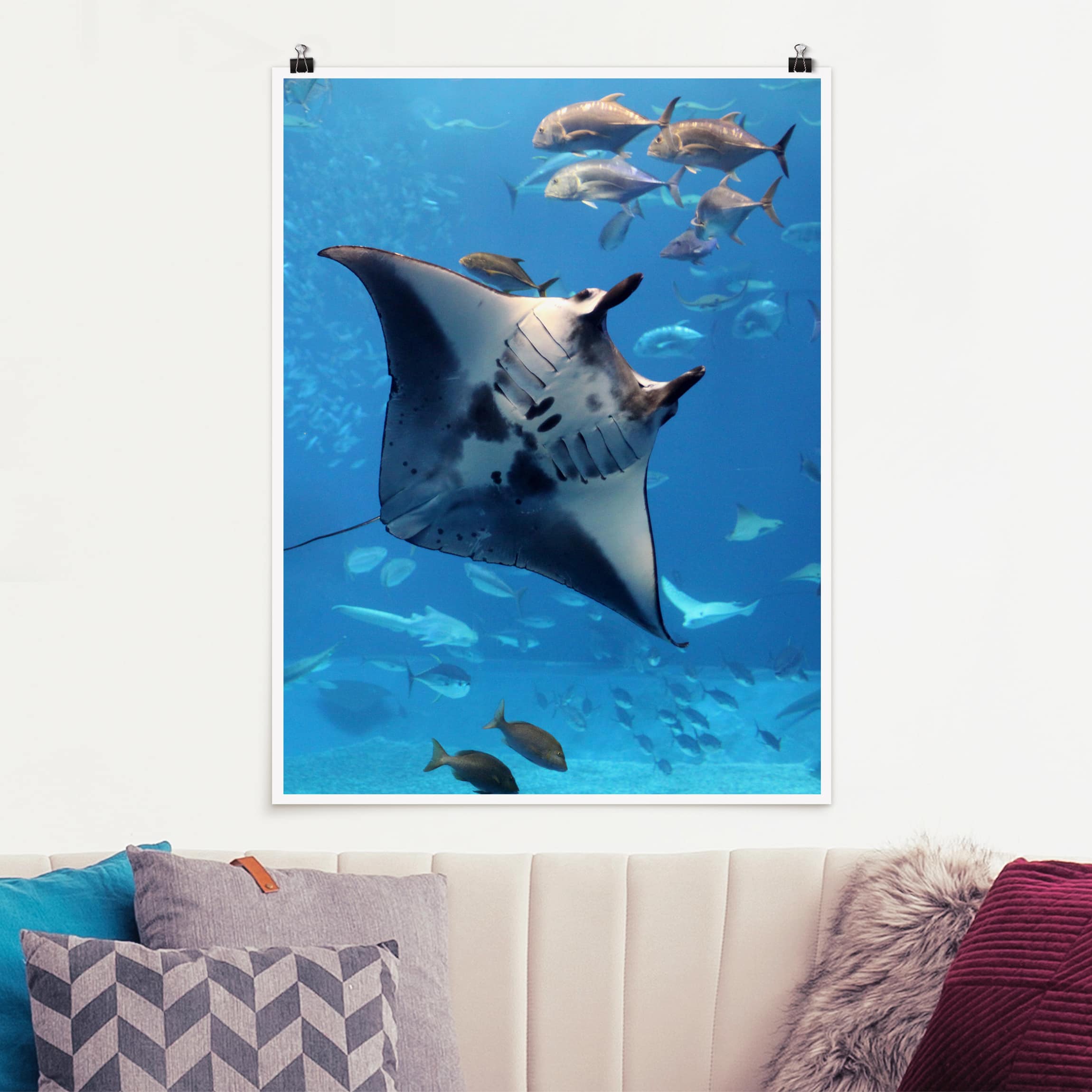 Poster - Hochformat Manta Ray