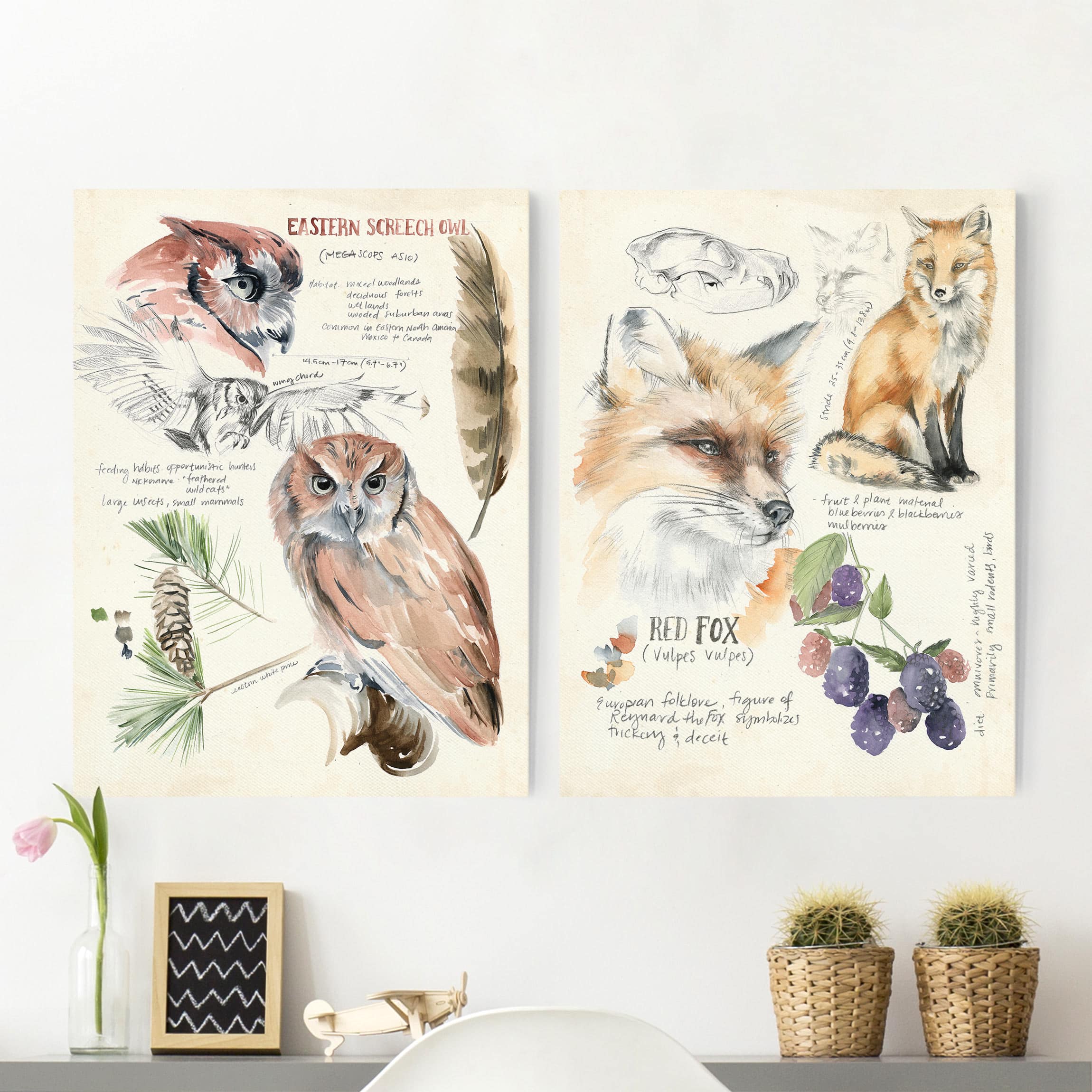 2-teiliges Leinwandbild Tiere Wildnis Journal Eule und Fuchs Set I