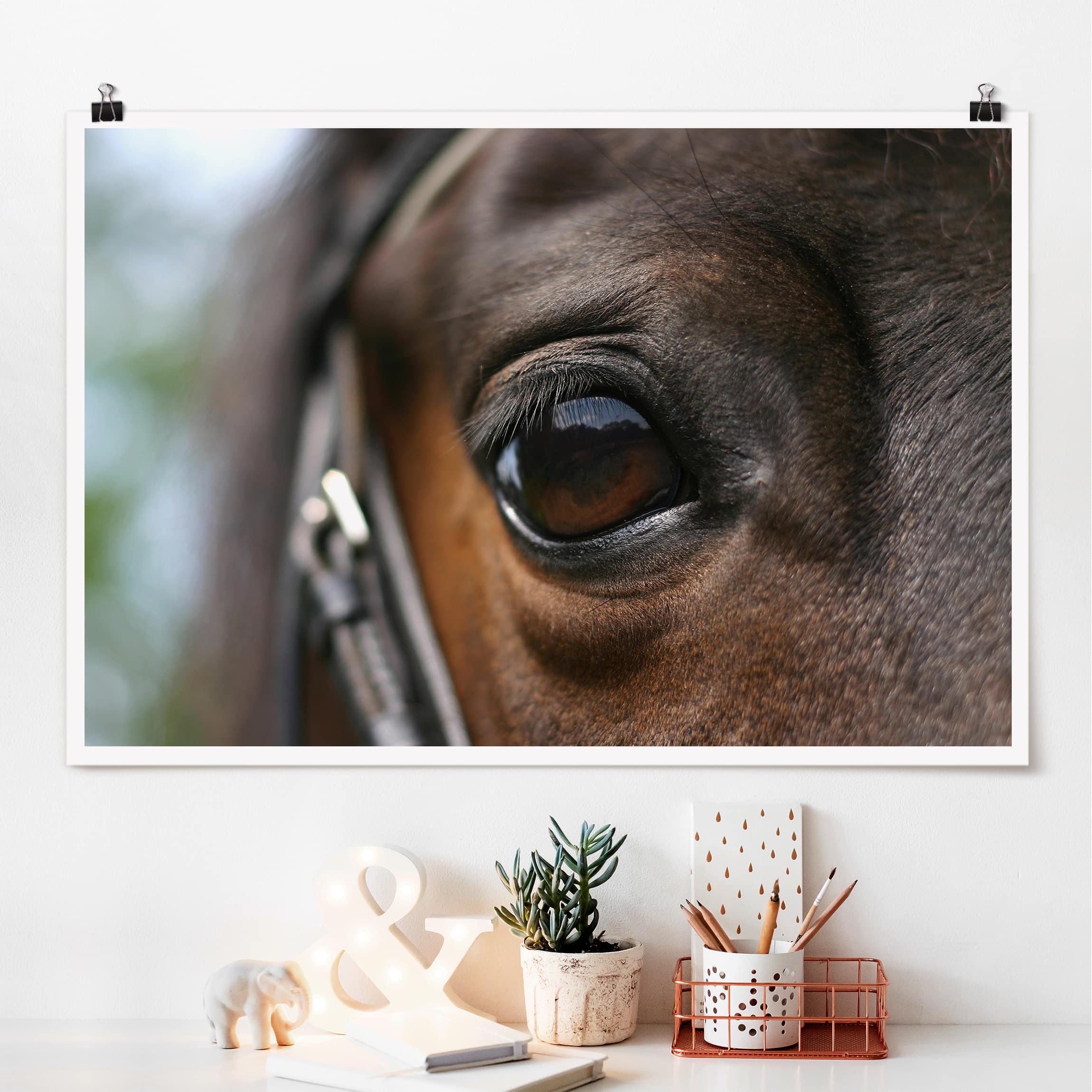 Poster Horse Eye