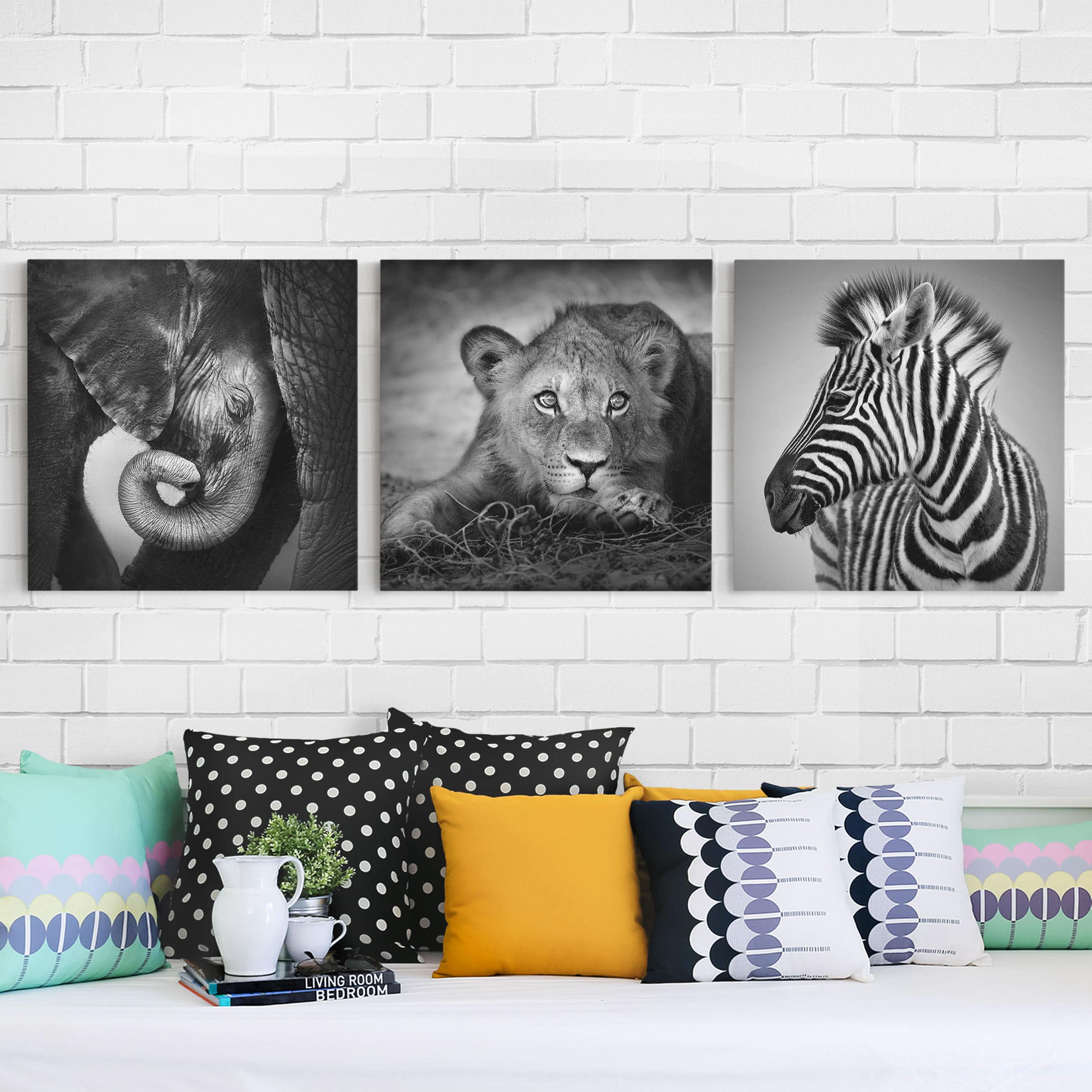 3-teiliges Leinwandbild Tiere Babytiere