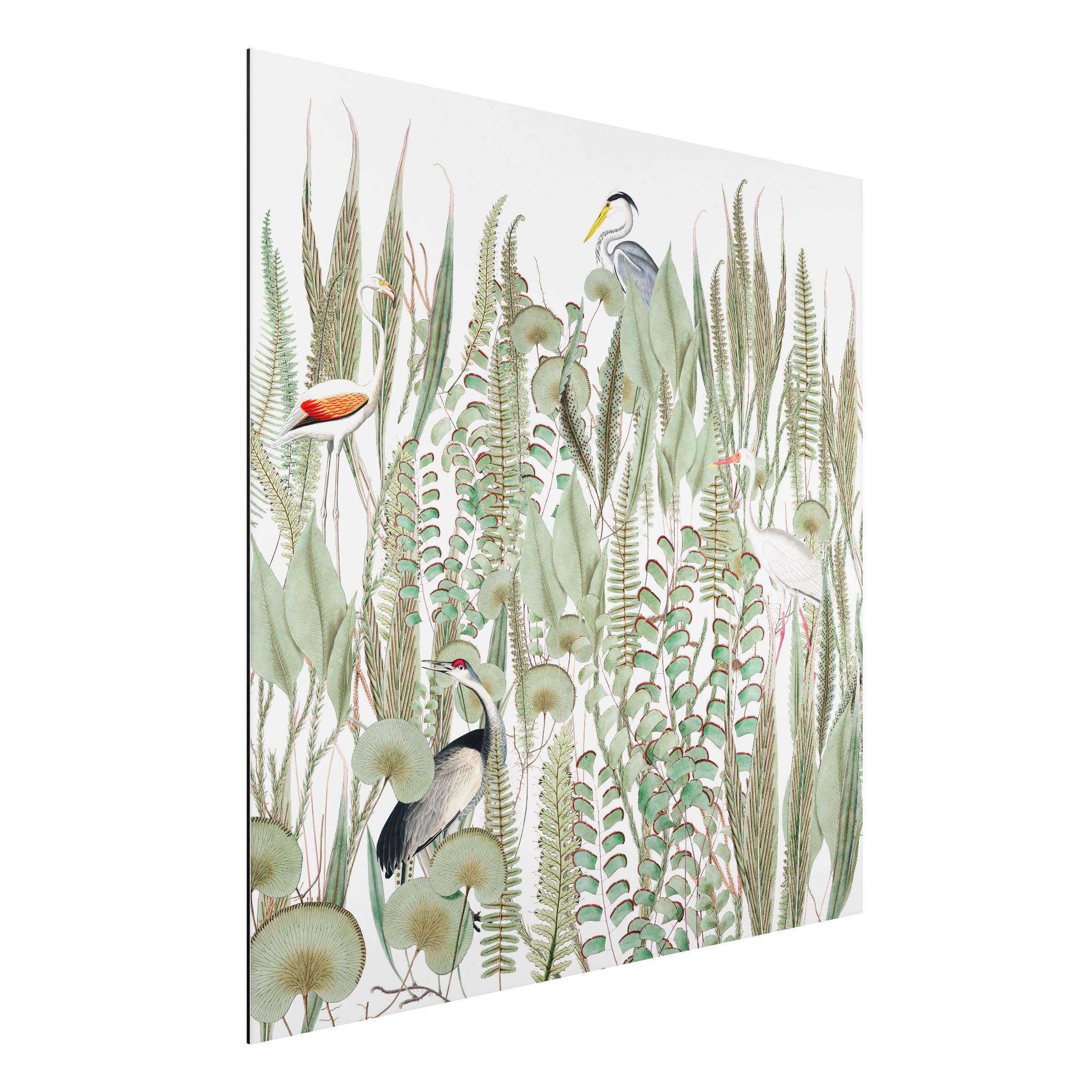 Alu-Dibond Bild Flamingo und Storch mit Pflanzen