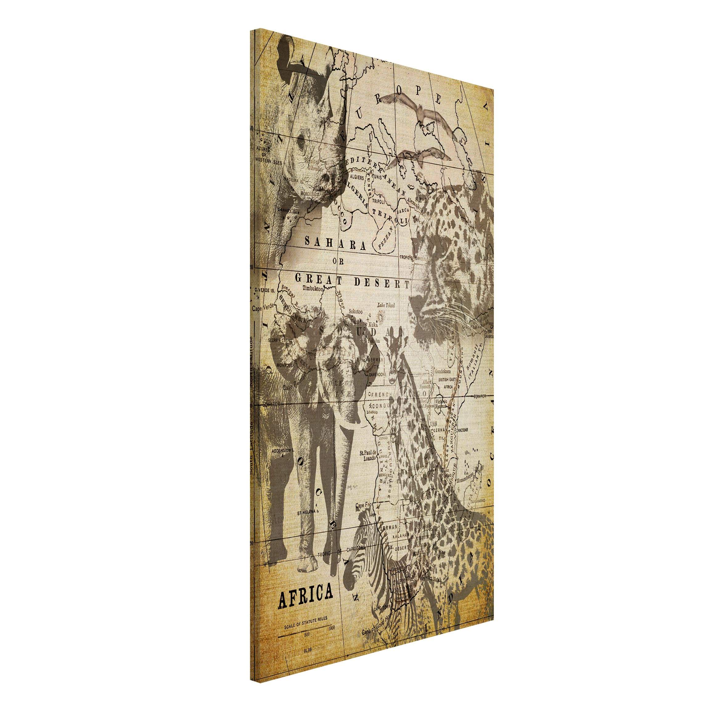 Magnettafel Vintage Collage - Africa Wildlife