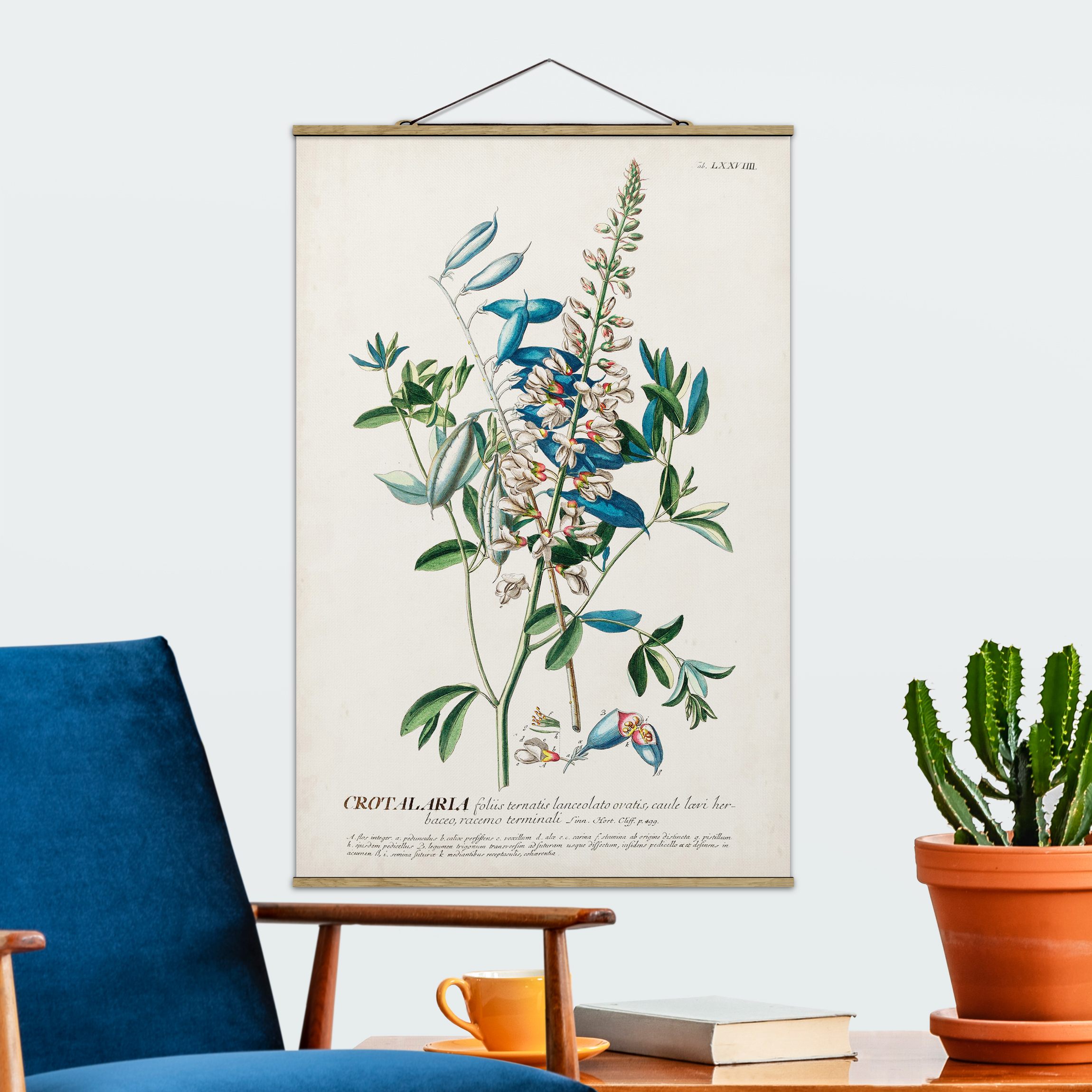 Stoffbild mit Posterleisten Vintage Botanik Illustration Hülsenfrüchte