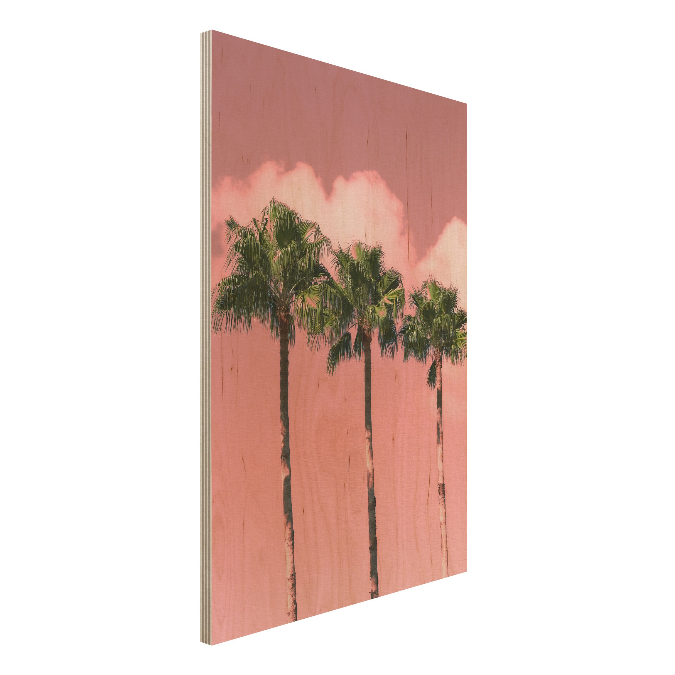 Holzbild Palmen vor Himmel Rosa