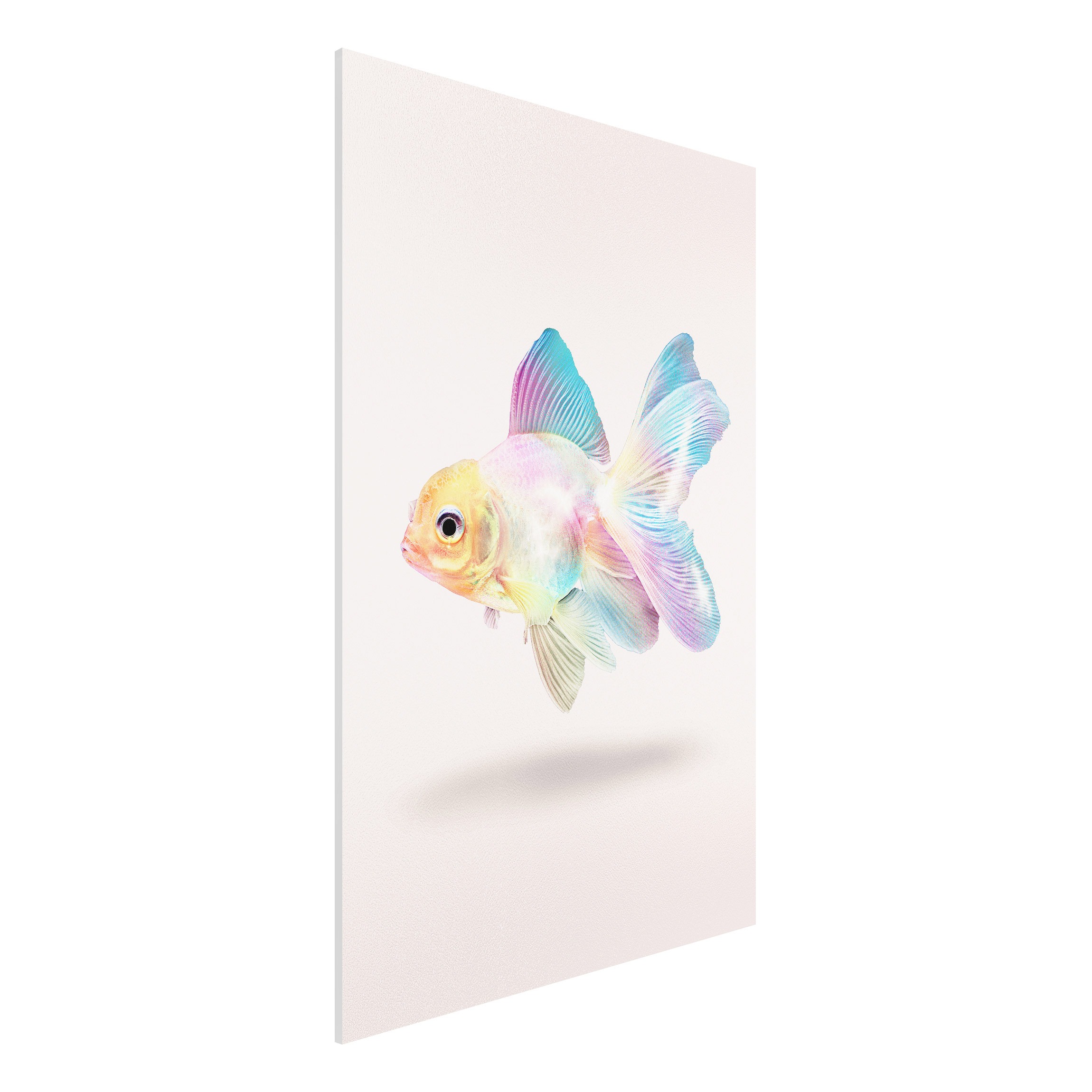 Forexbild - Hochformat Fisch in Pastell