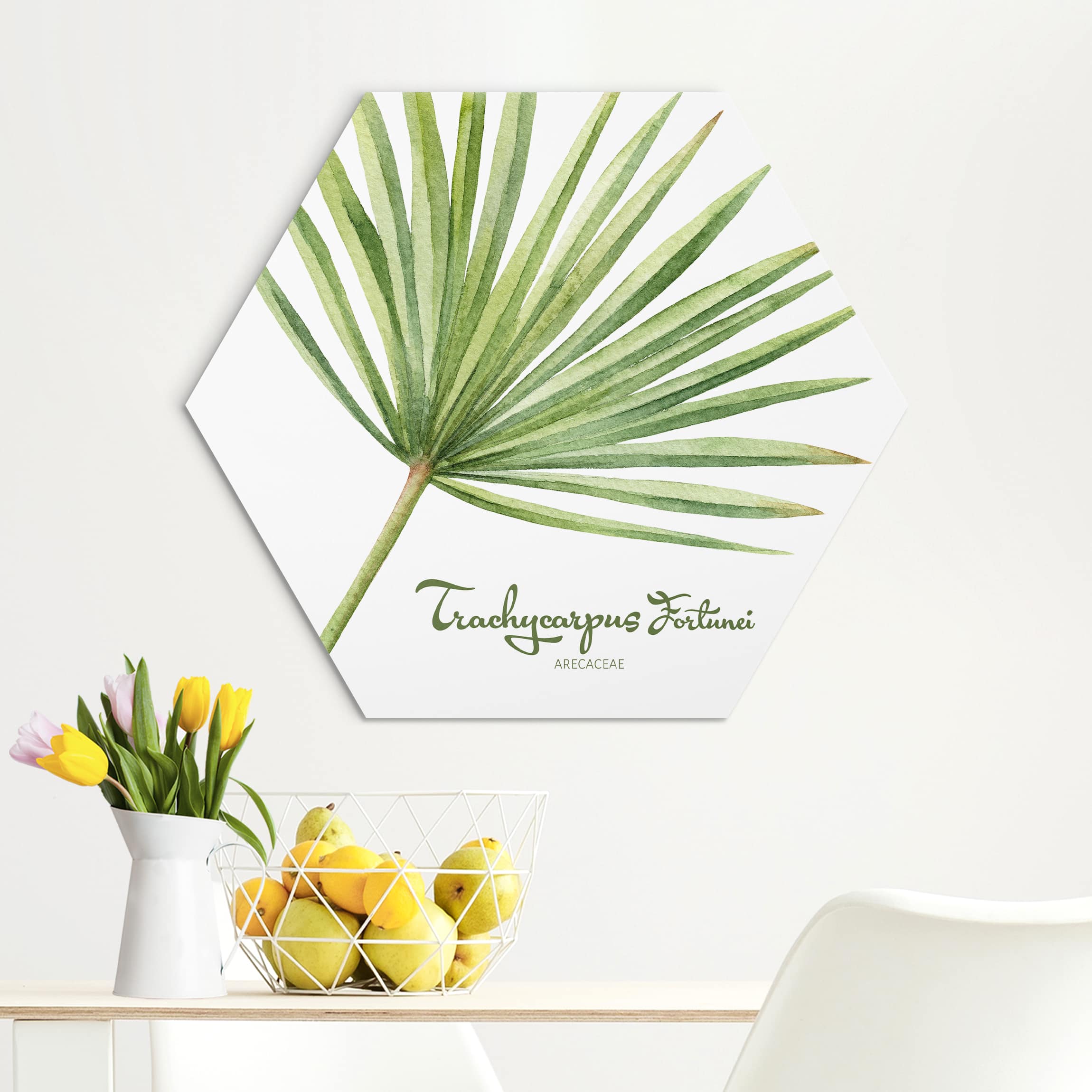 Hexagon-Alu-Dibond Bild Aquarell Botanik Trachycarpus fortunei