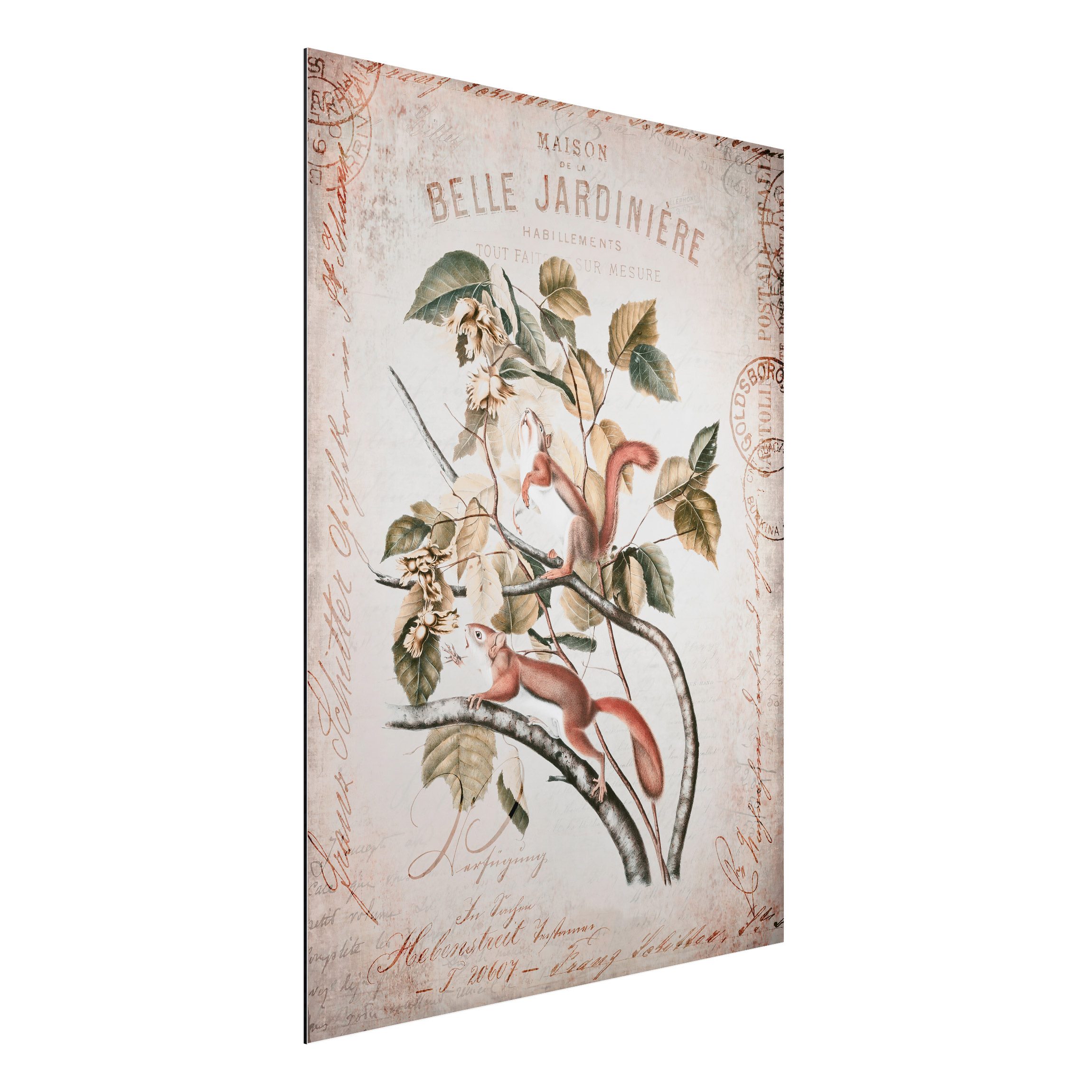 Alu-Dibond Outdoor Bild Shabby Chic Collage - Eichhörnchen