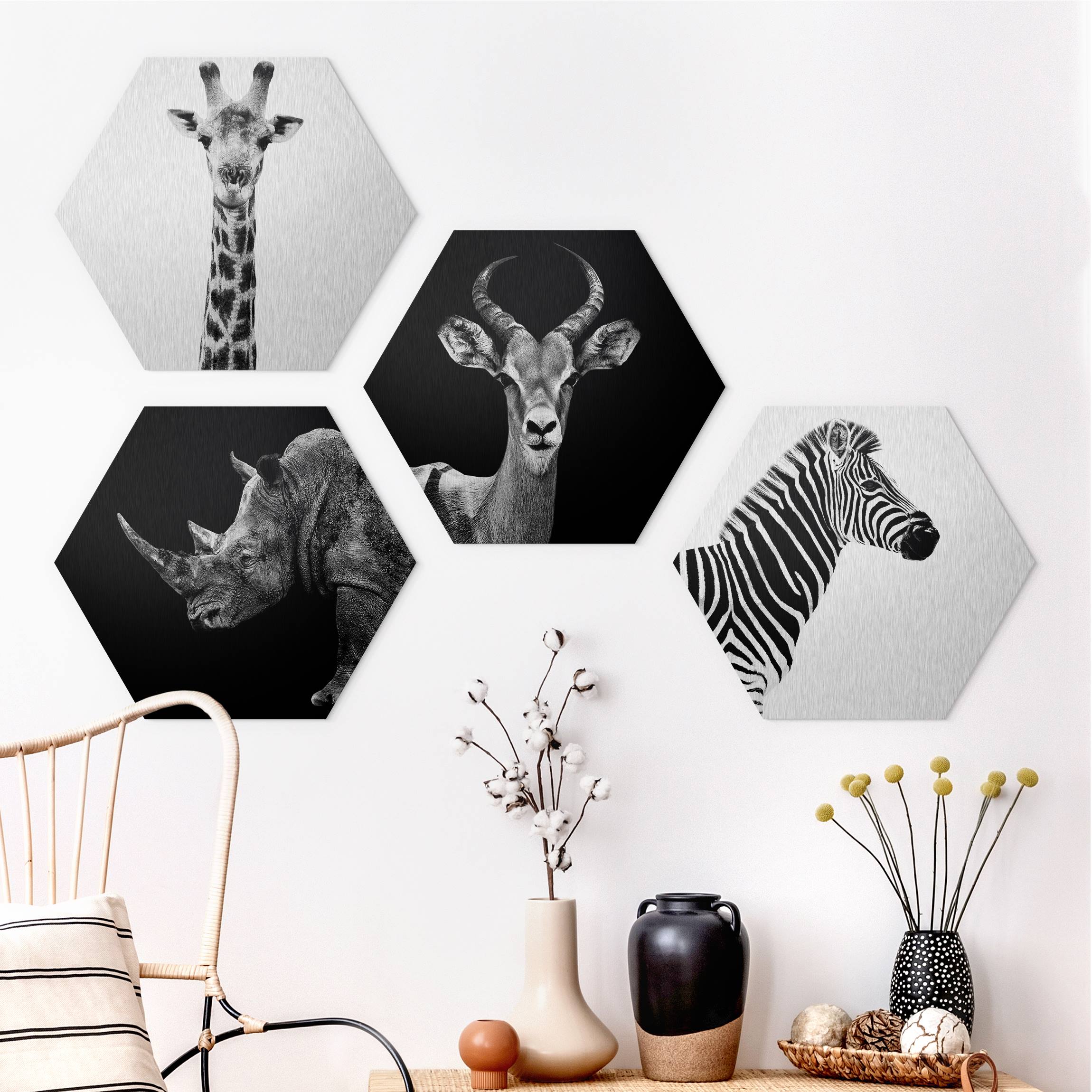 4-teiliges Hexagon-Alu-Dibond Bild Safari Quartett