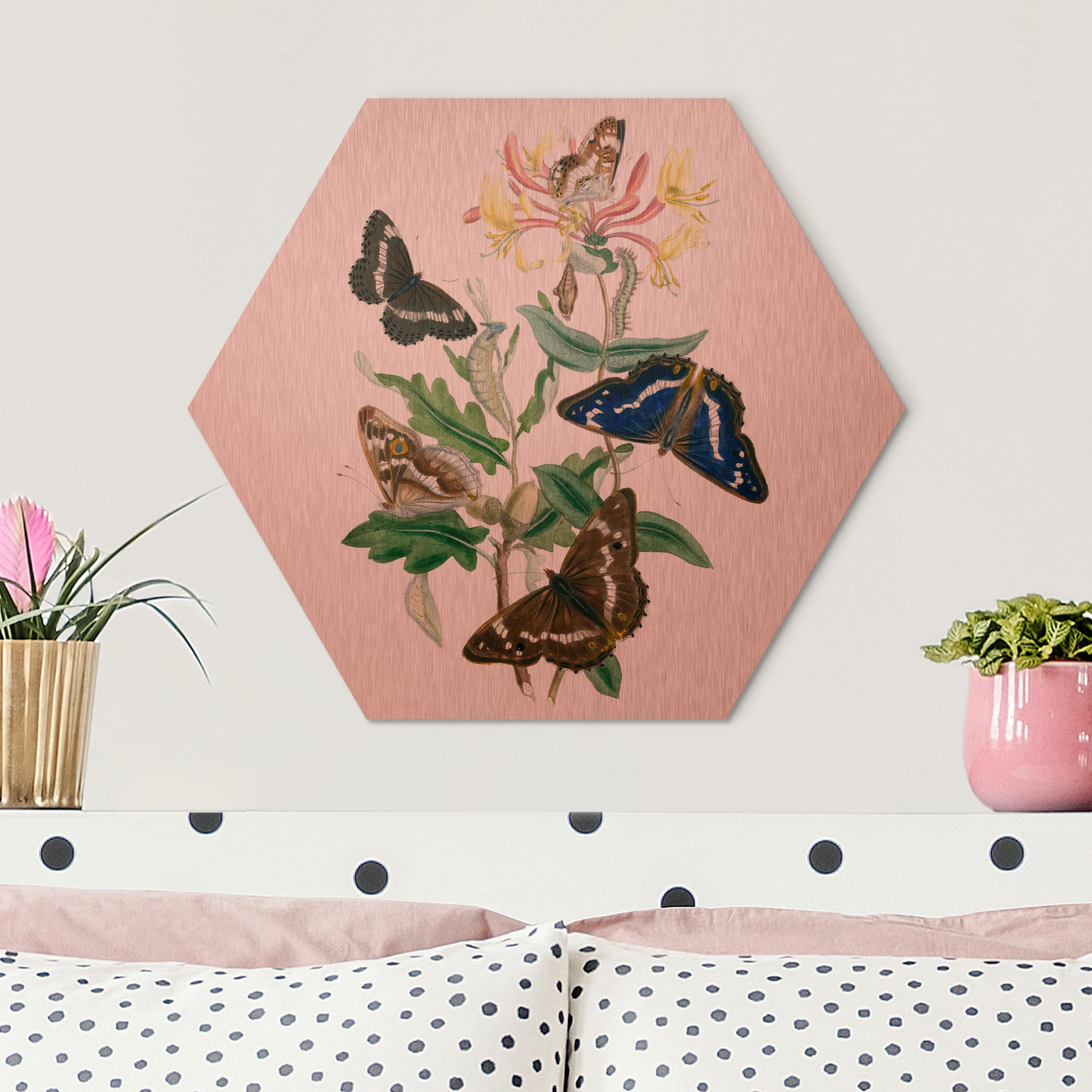 Hexagon-Alu-Dibond Bild Britische Schmetterlinge IV