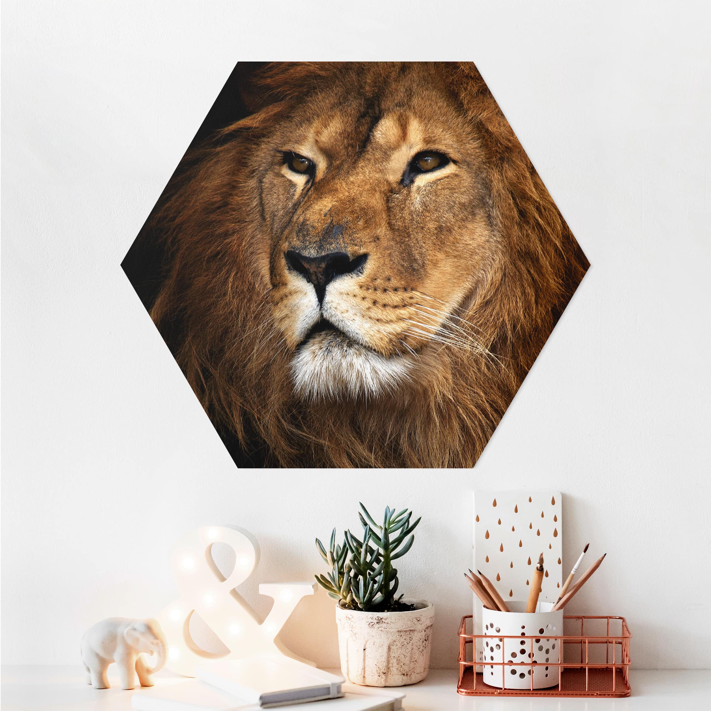 Hexagon-Alu-Dibond Bild Löwenblick