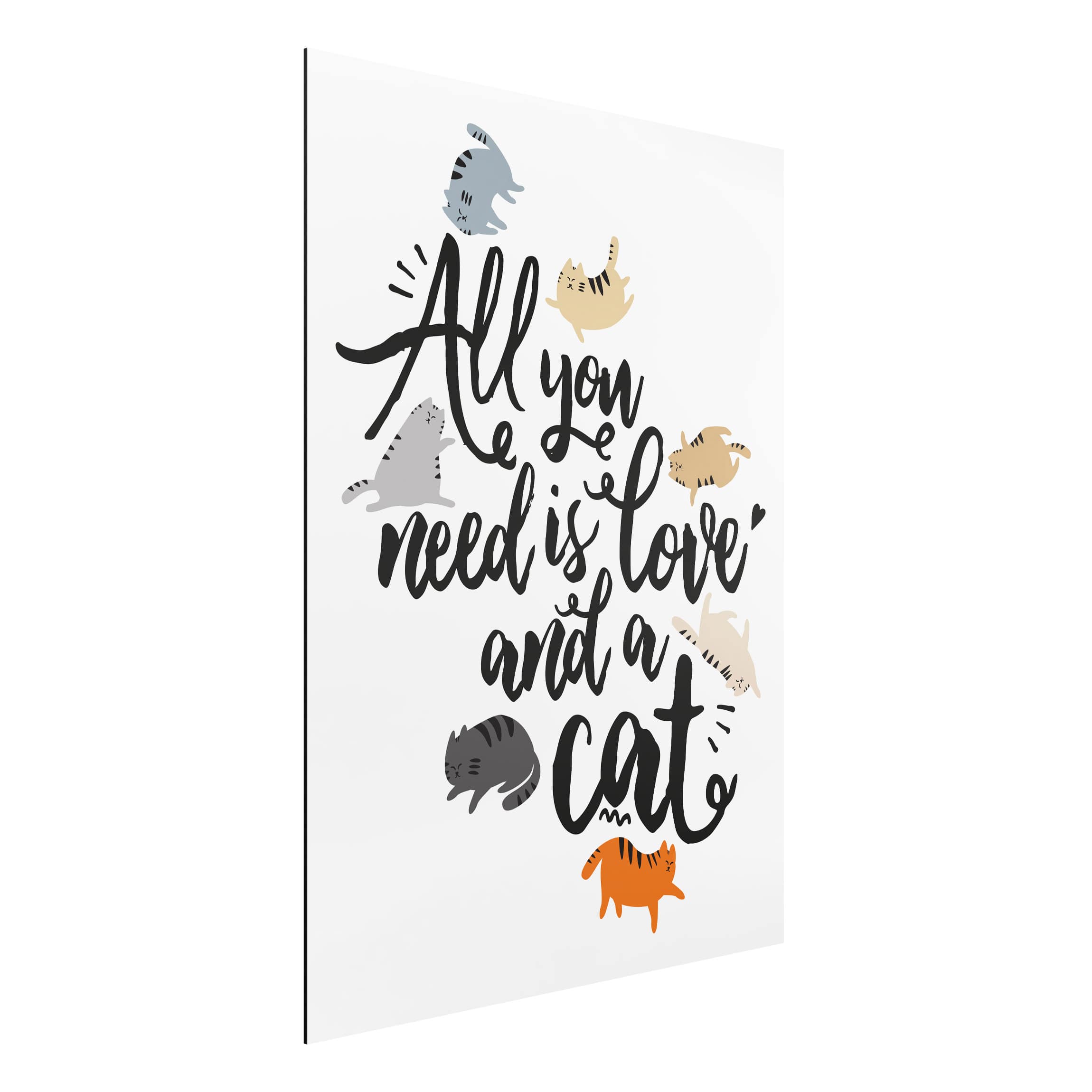 Alu-Dibond Outdoor Bild All you need is love and a cat