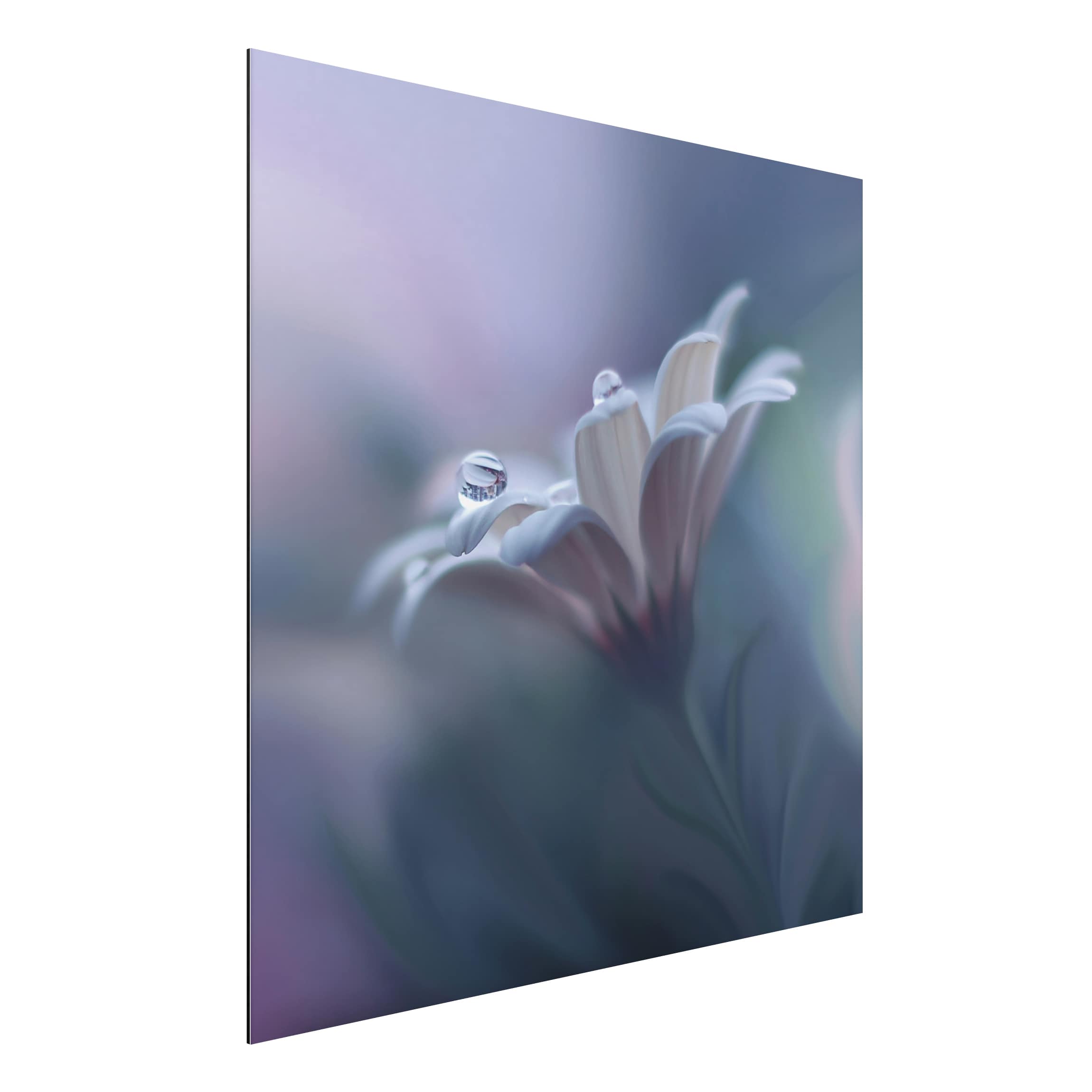 Alu-Dibond Outdoor Bild Behind Closed Eyes