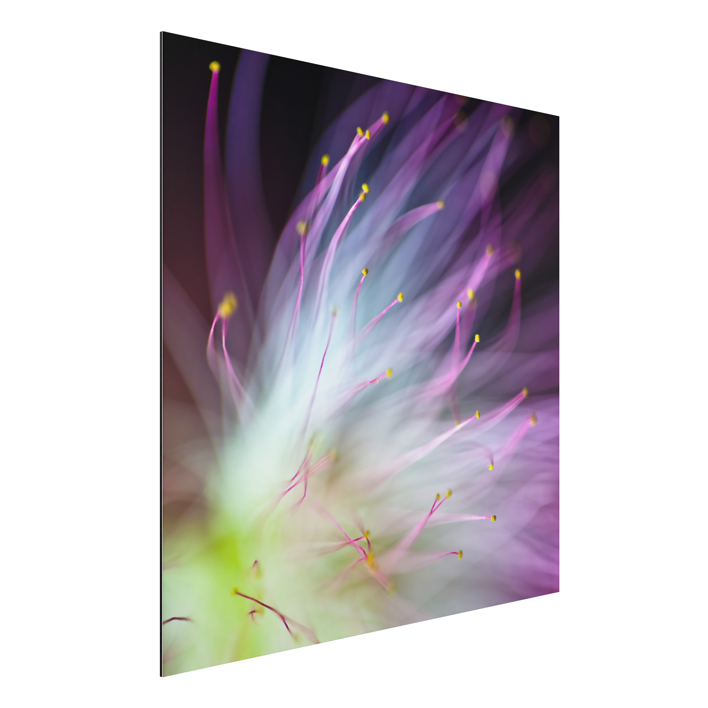 Alu-Dibond Outdoor Bild Blütenstaub