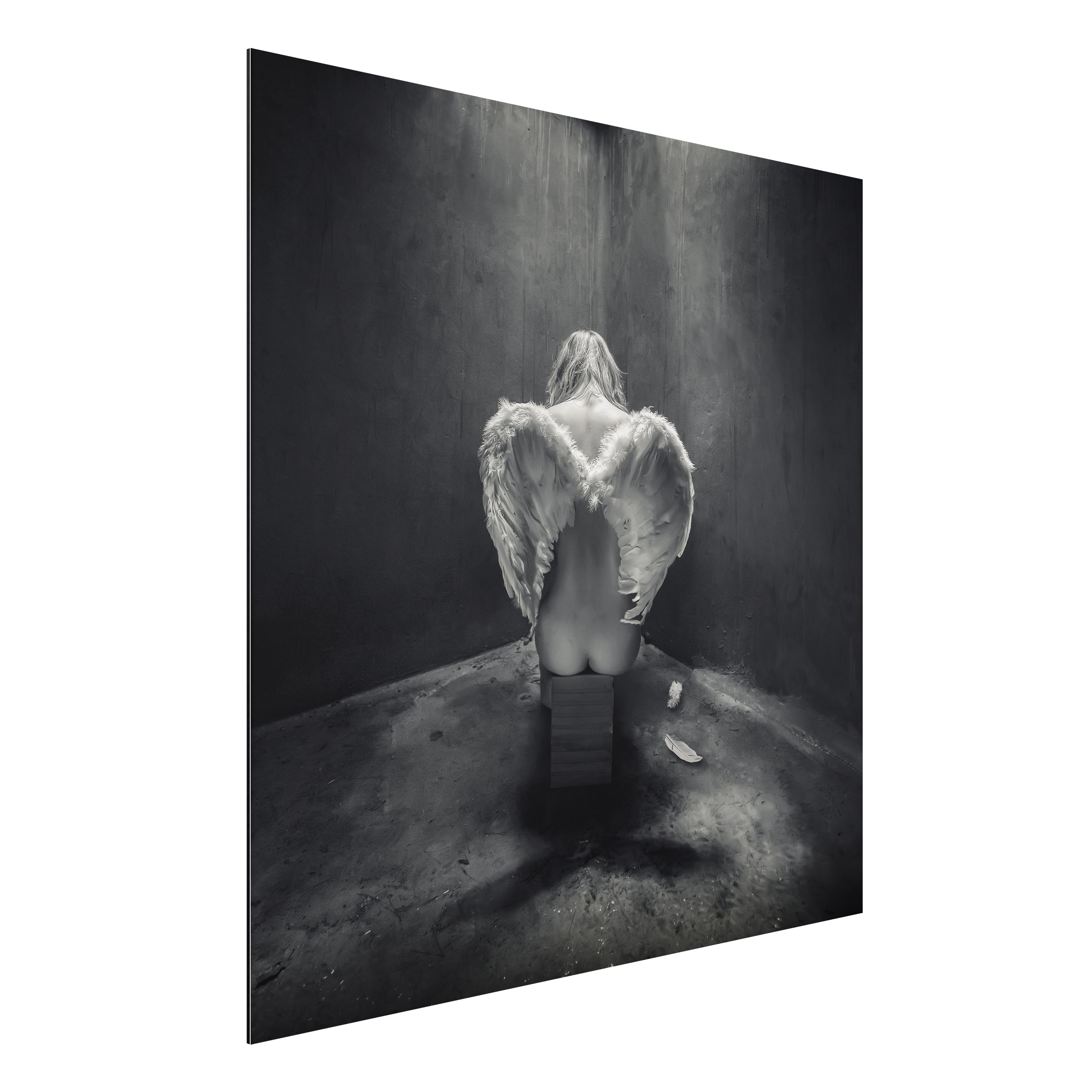 Alu-Dibond Outdoor Bild Busted