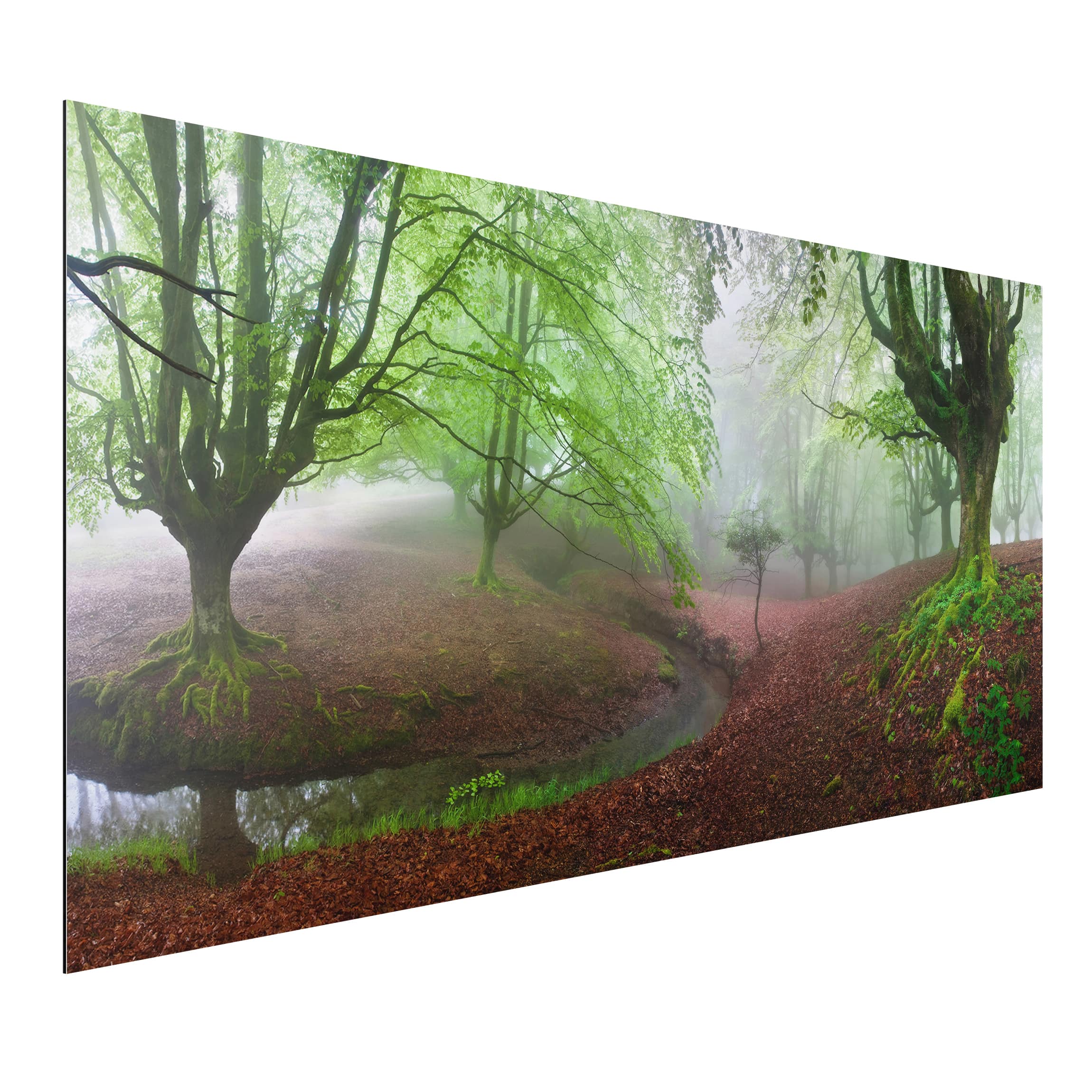 Alu-Dibond Outdoor Bild Der Wald Marvillador