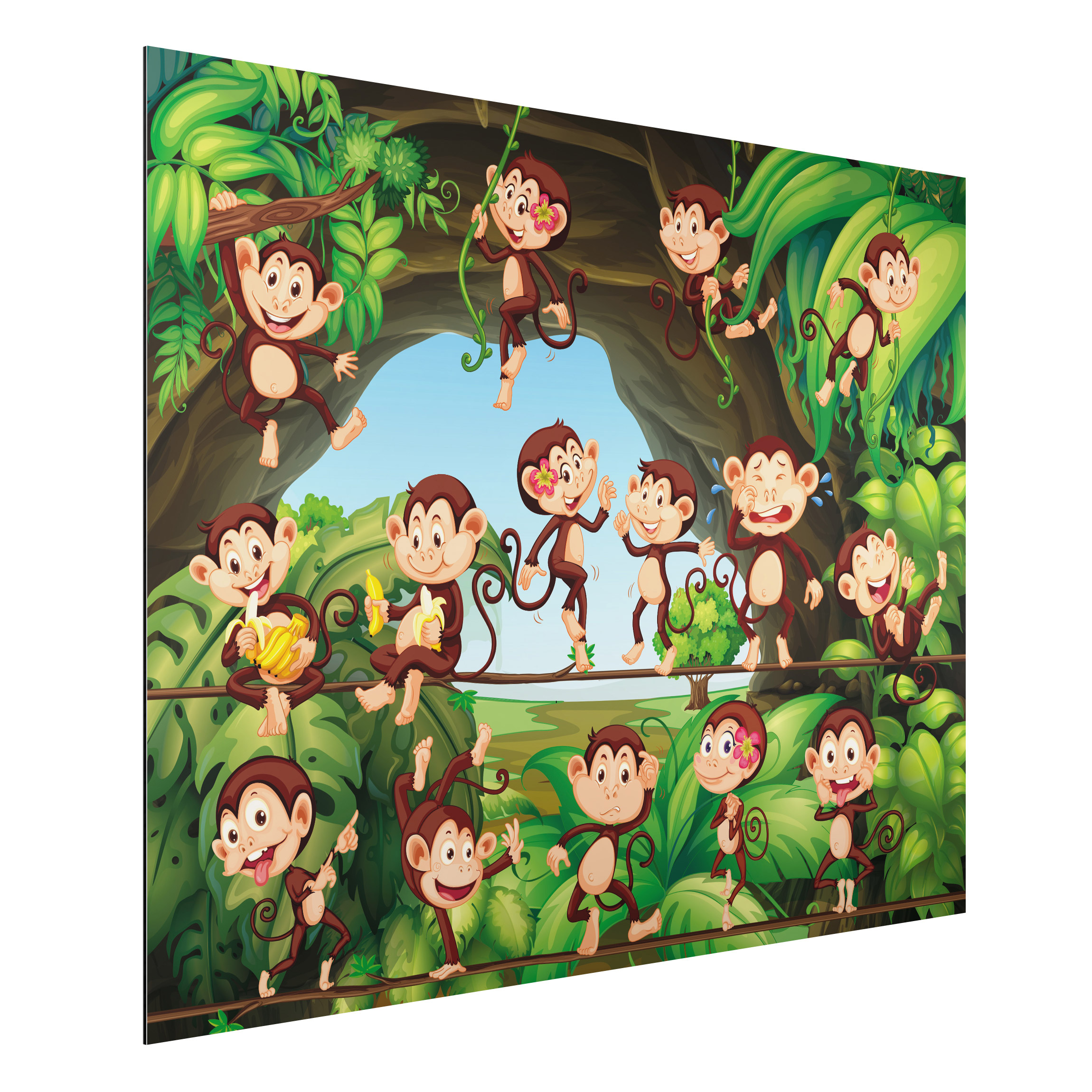 Alu-Dibond Outdoor Bild Dschungelaffen