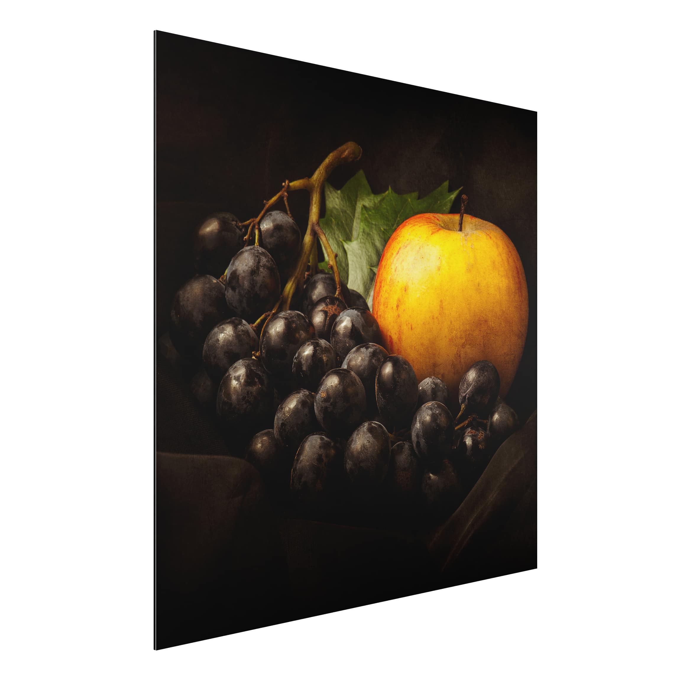 Alu-Dibond Outdoor Bild Dunkles Stillleben