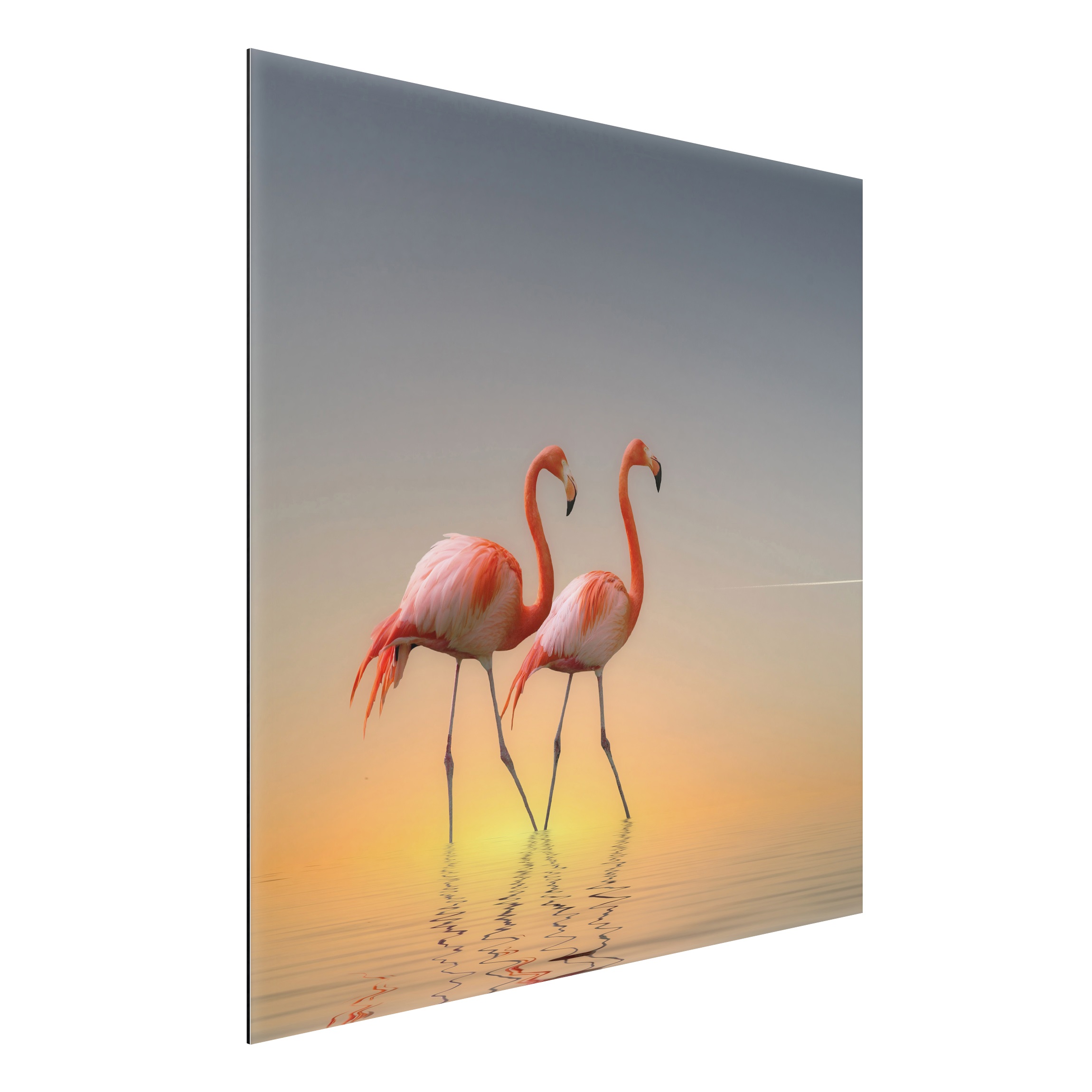 Alu-Dibond Outdoor Bild Flamingo Love