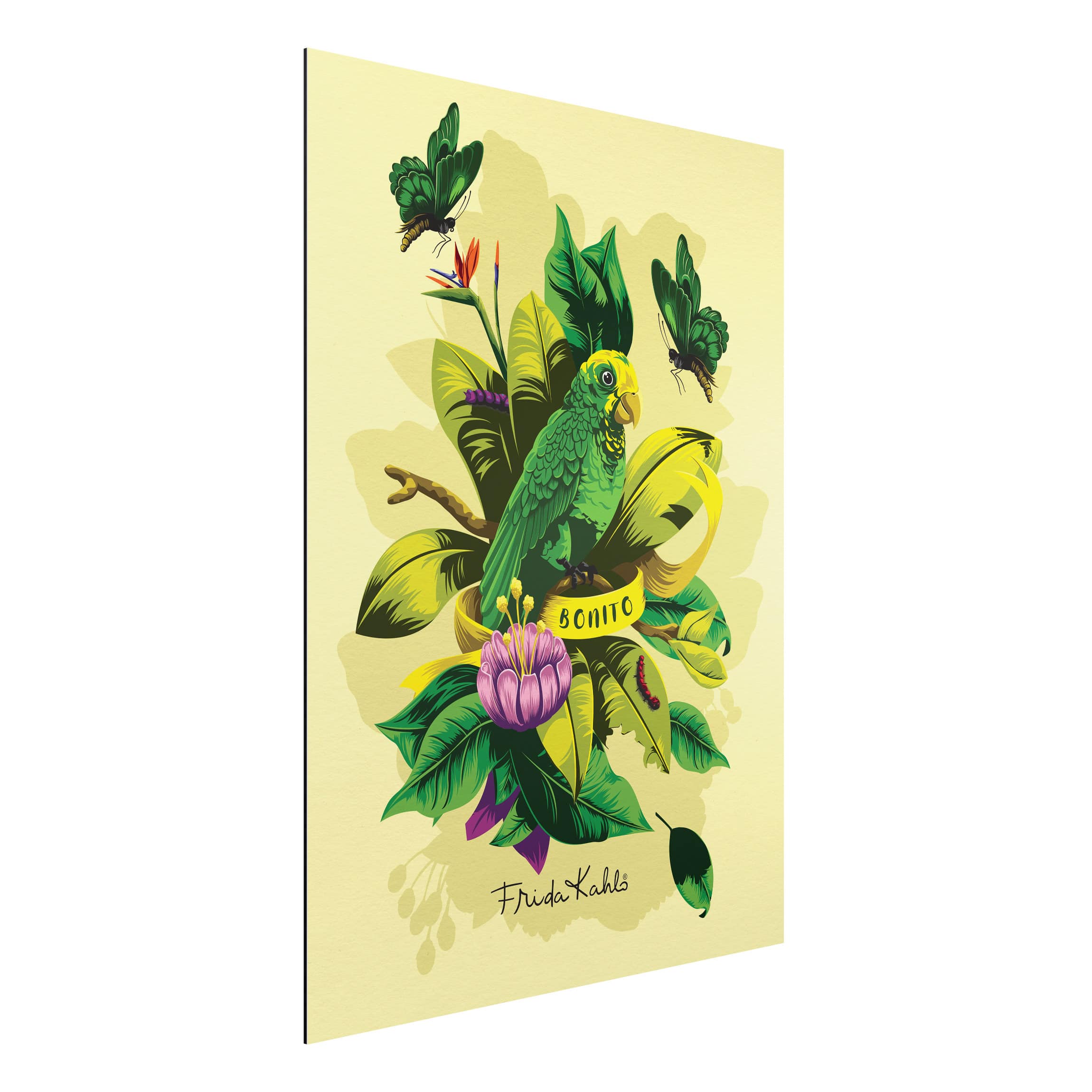 Alu-Dibond Outdoor Bild Frida Kahlo - Bonito