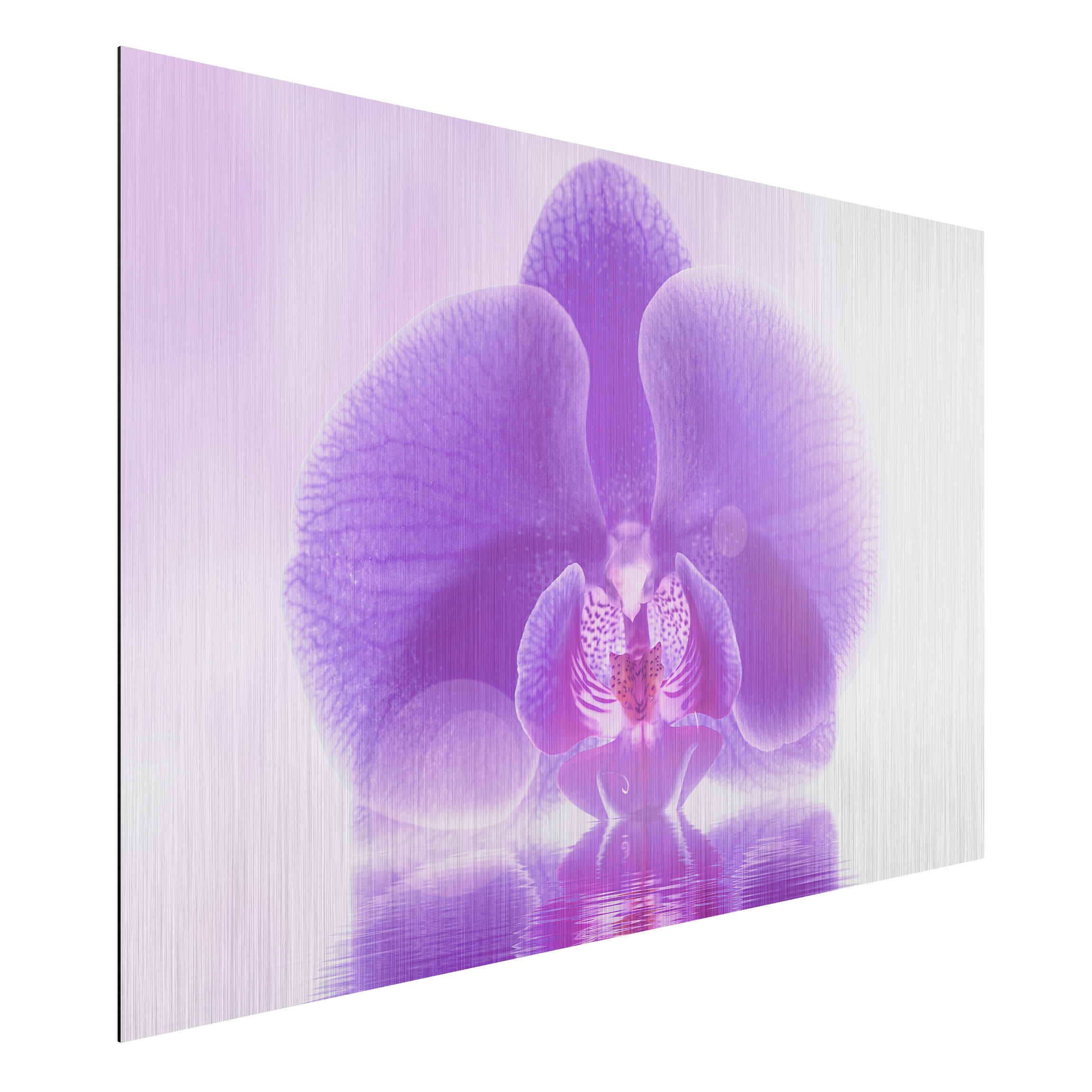 Alu-Dibond Outdoor Bild Lila Orchidee auf Wasser