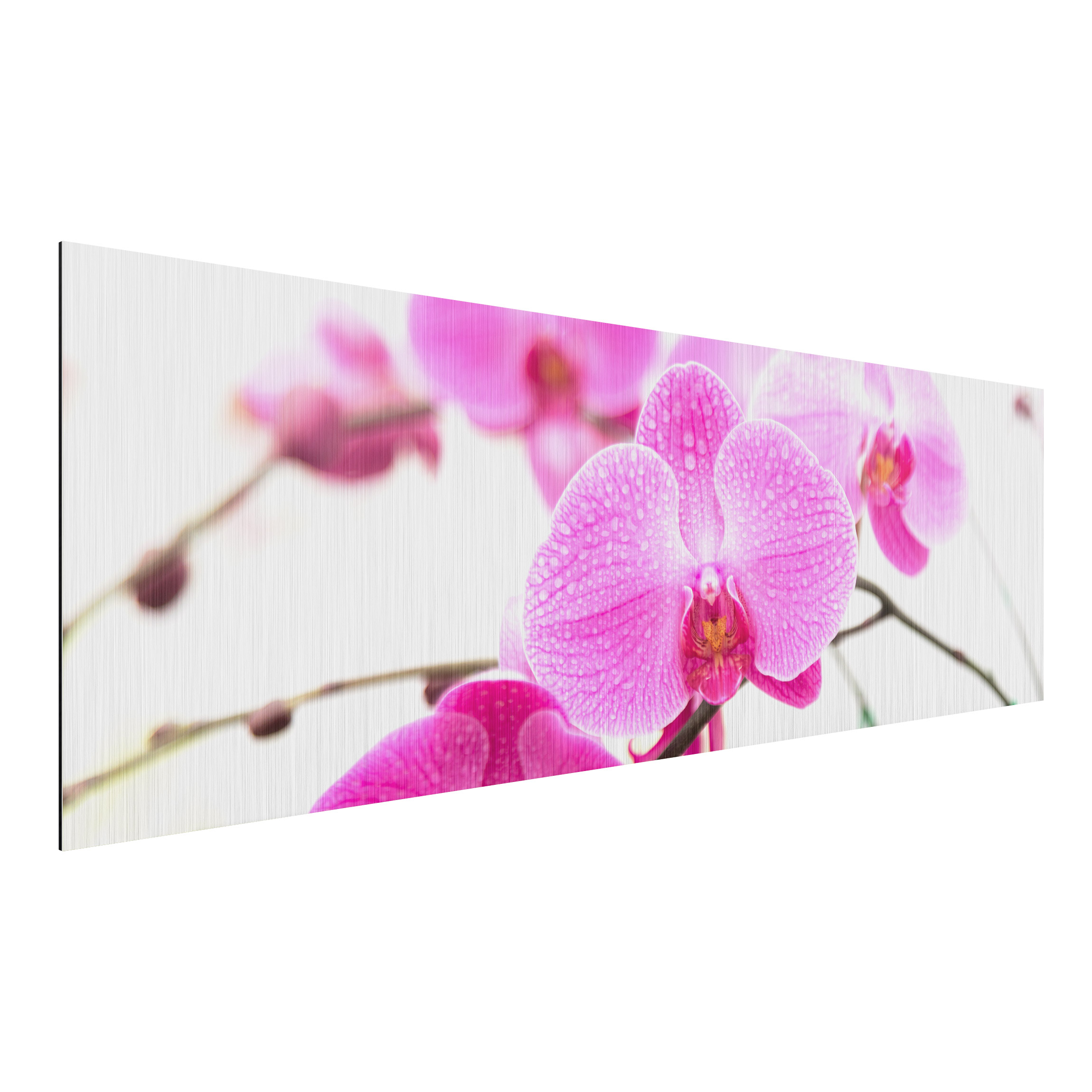 Alu-Dibond Outdoor Bild Nahaufnahme Orchidee