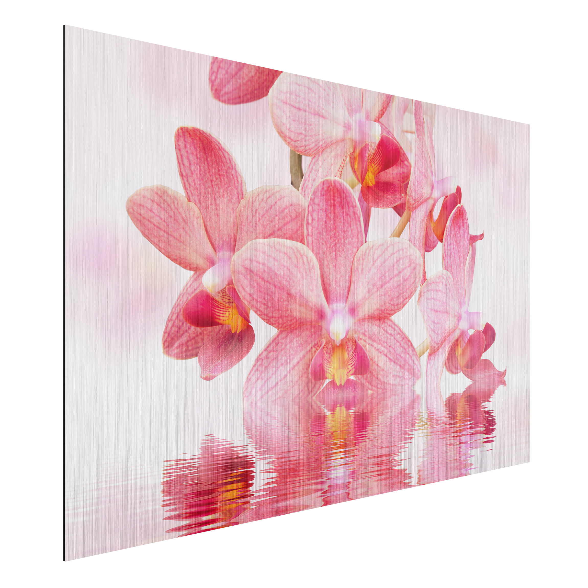 Alu-Dibond Outdoor Bild Rosa Orchideen auf Wasser