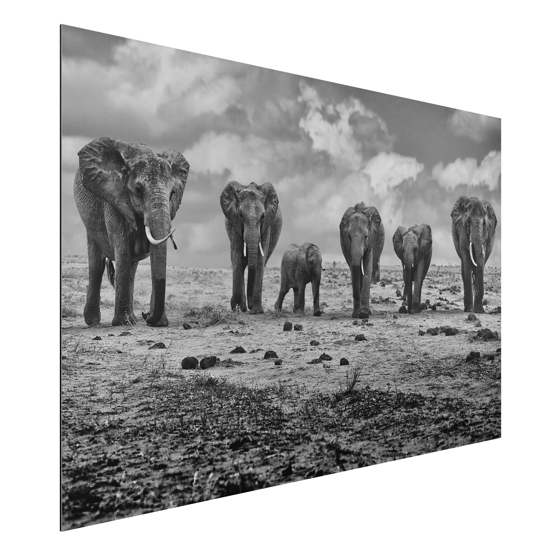 Alu-Dibond Outdoor Bild Großfamilie