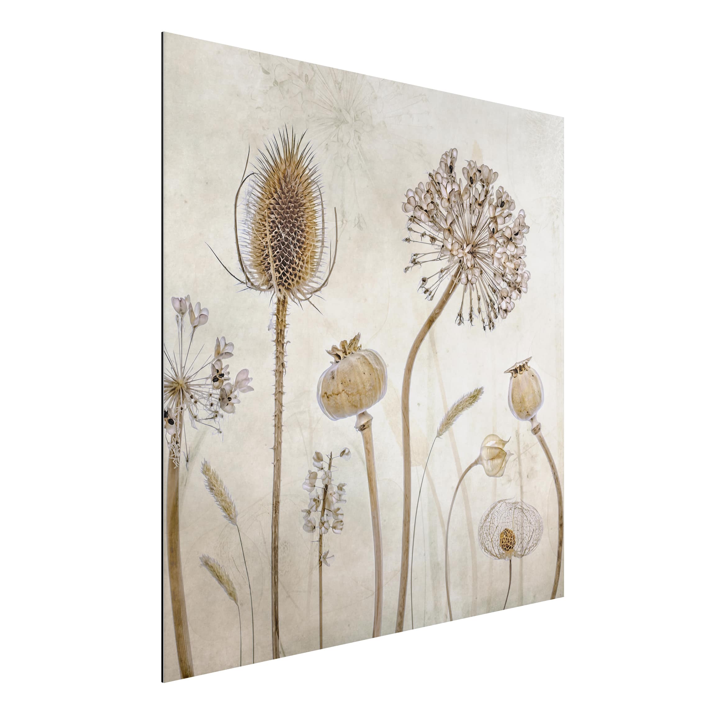 Alu-Dibond Outdoor Bild Growing Old