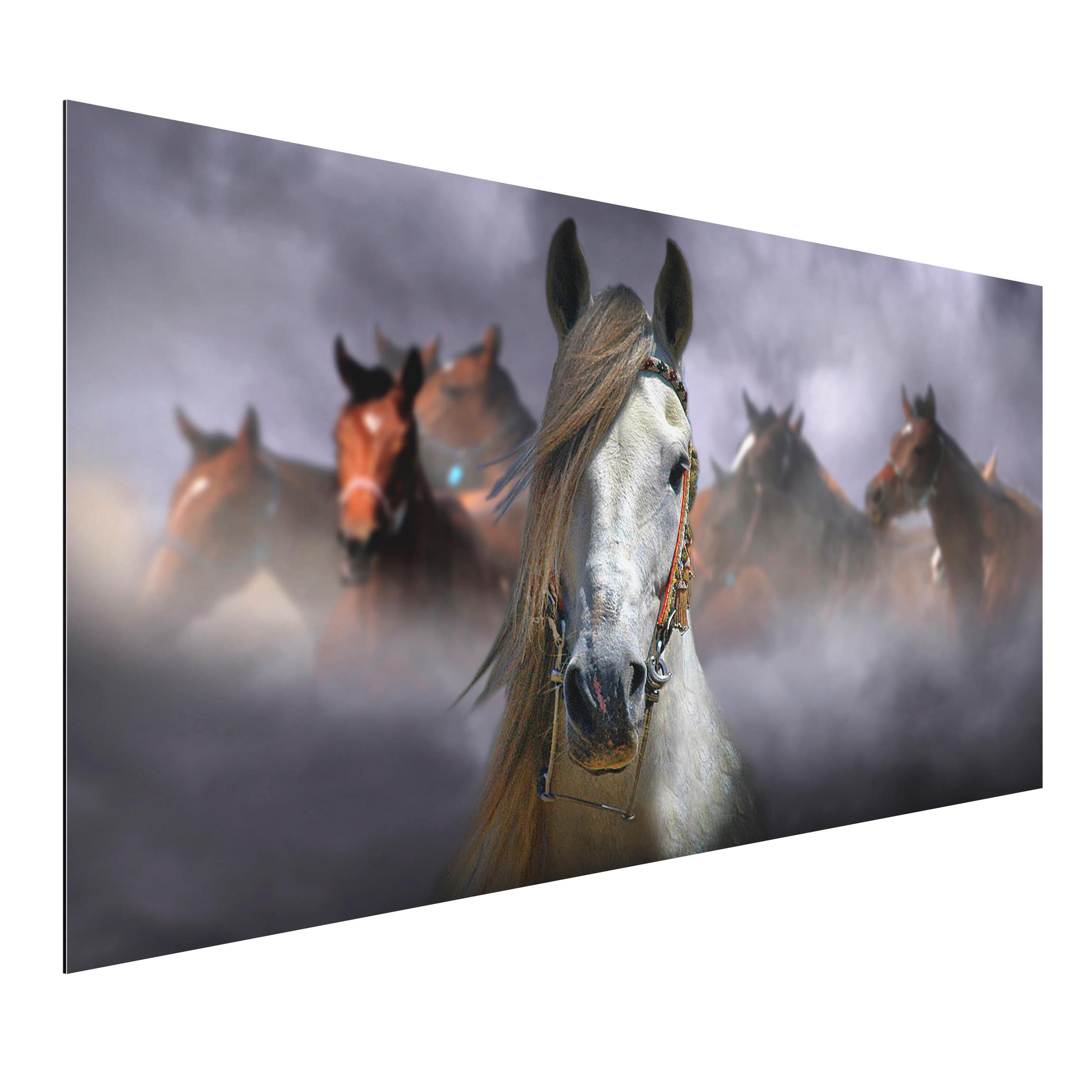 Alu-Dibond Outdoor Bild Horses in the Dust