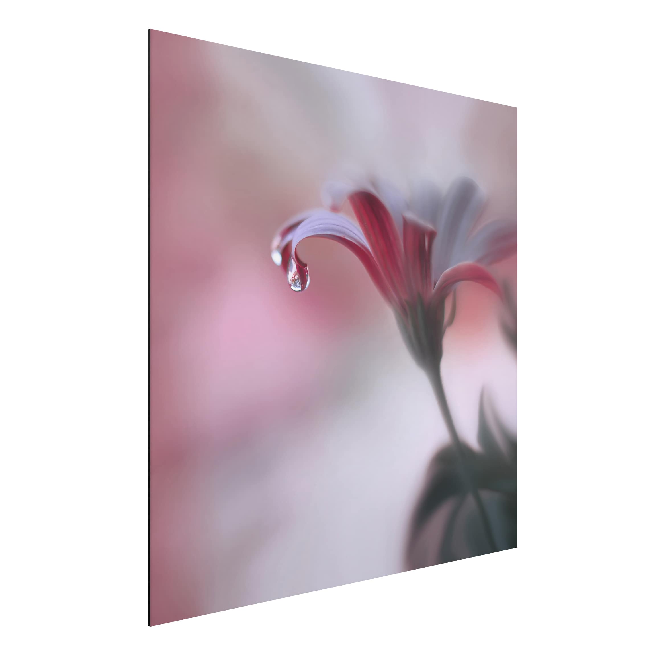 Alu-Dibond Outdoor Bild Invisible Touch