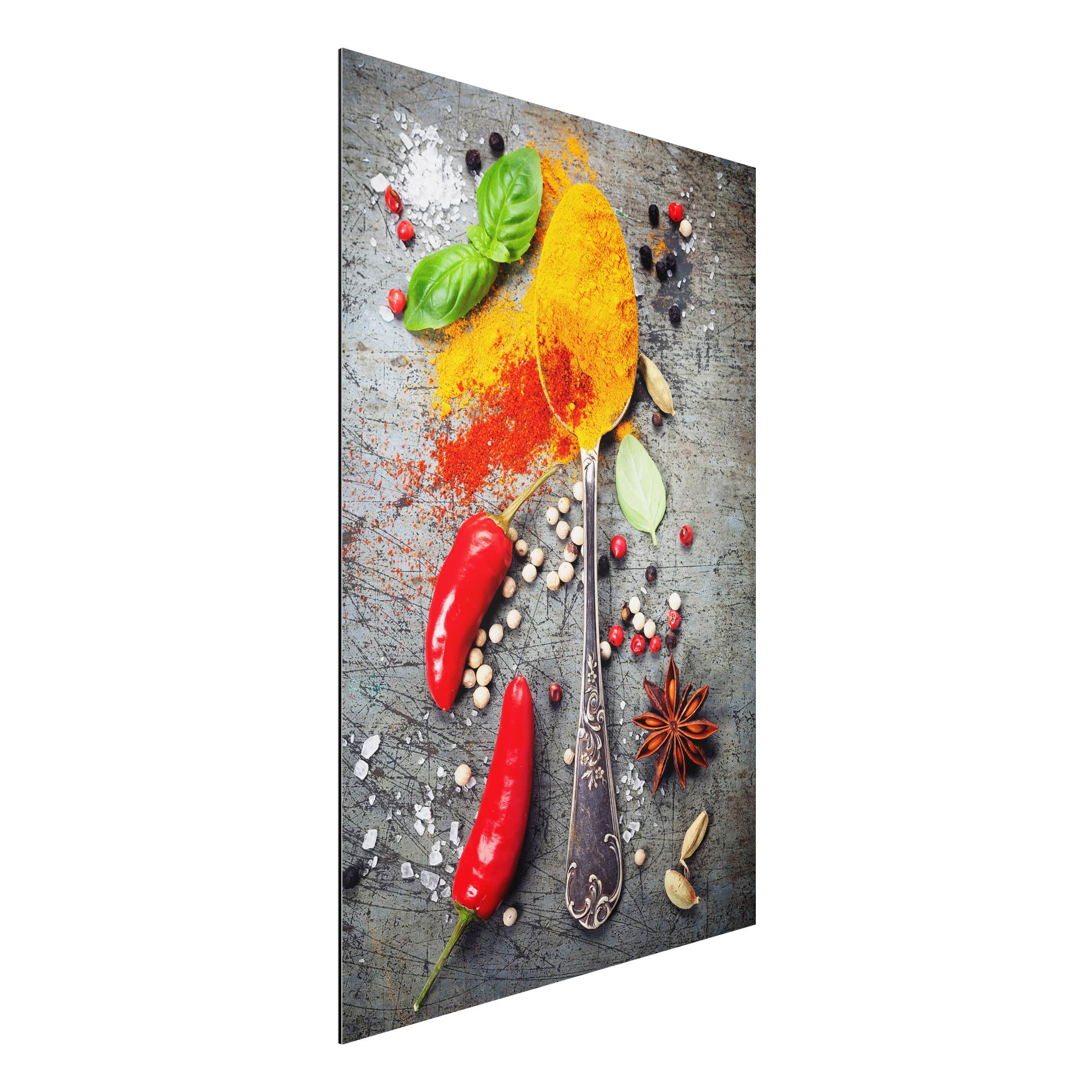 Alu-Dibond Outdoor Bild Löffel mit Gewürzen