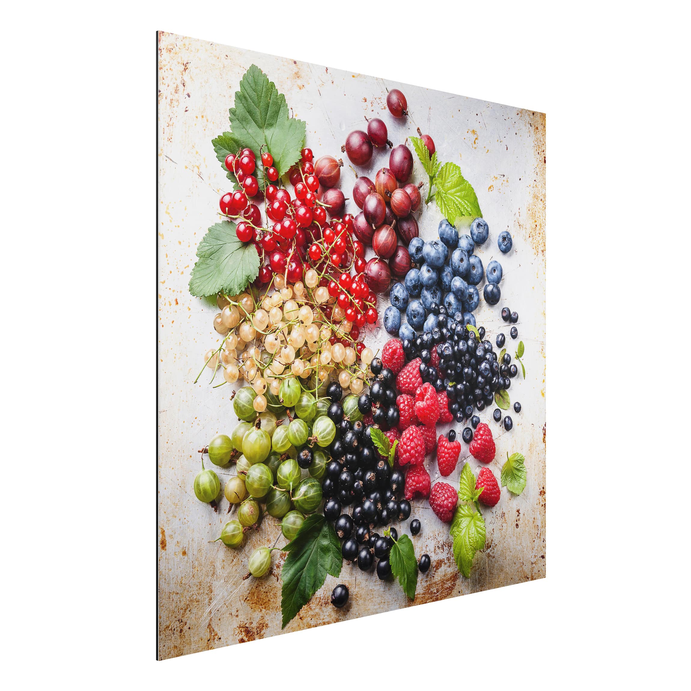 Alu-Dibond Outdoor Bild Mischung aus Beeren auf Metall