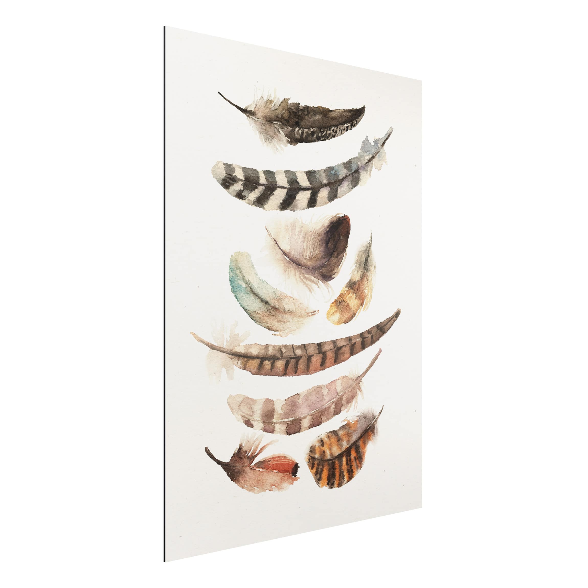 Alu-Dibond Outdoor Bild Neun Federn