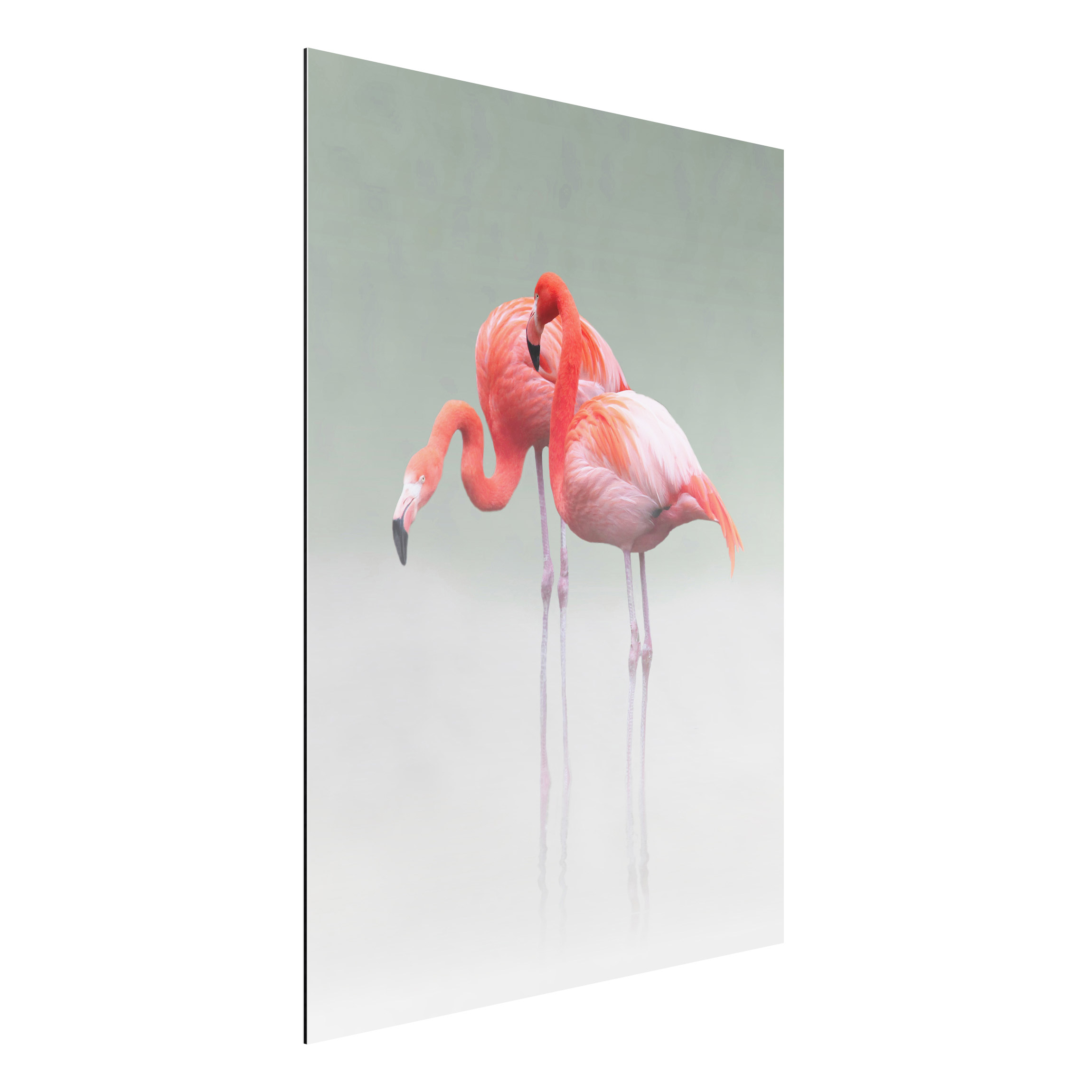 Alu-Dibond Tiere Nur wir zwei