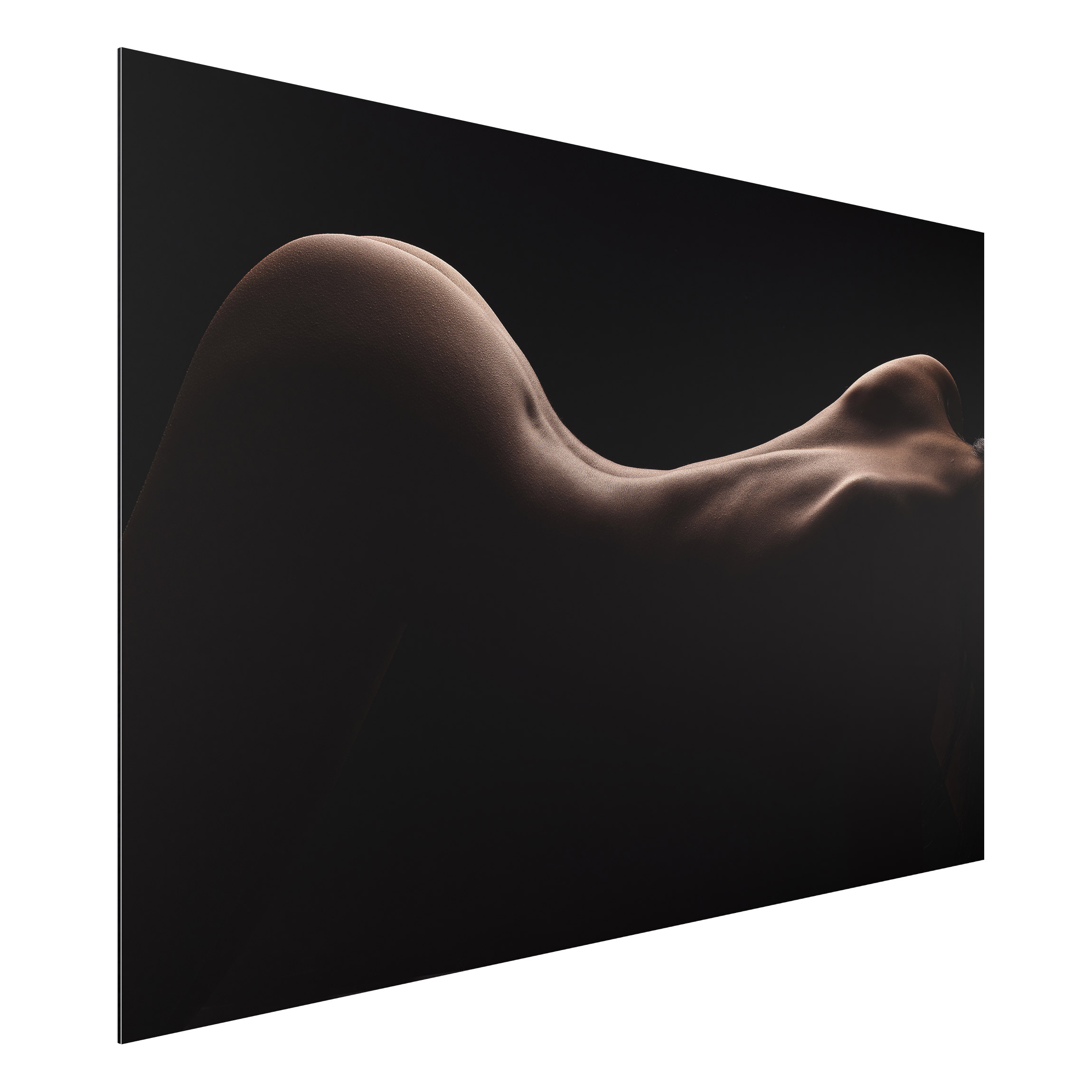 Alu-Dibond Akt & Erotik Rundungen