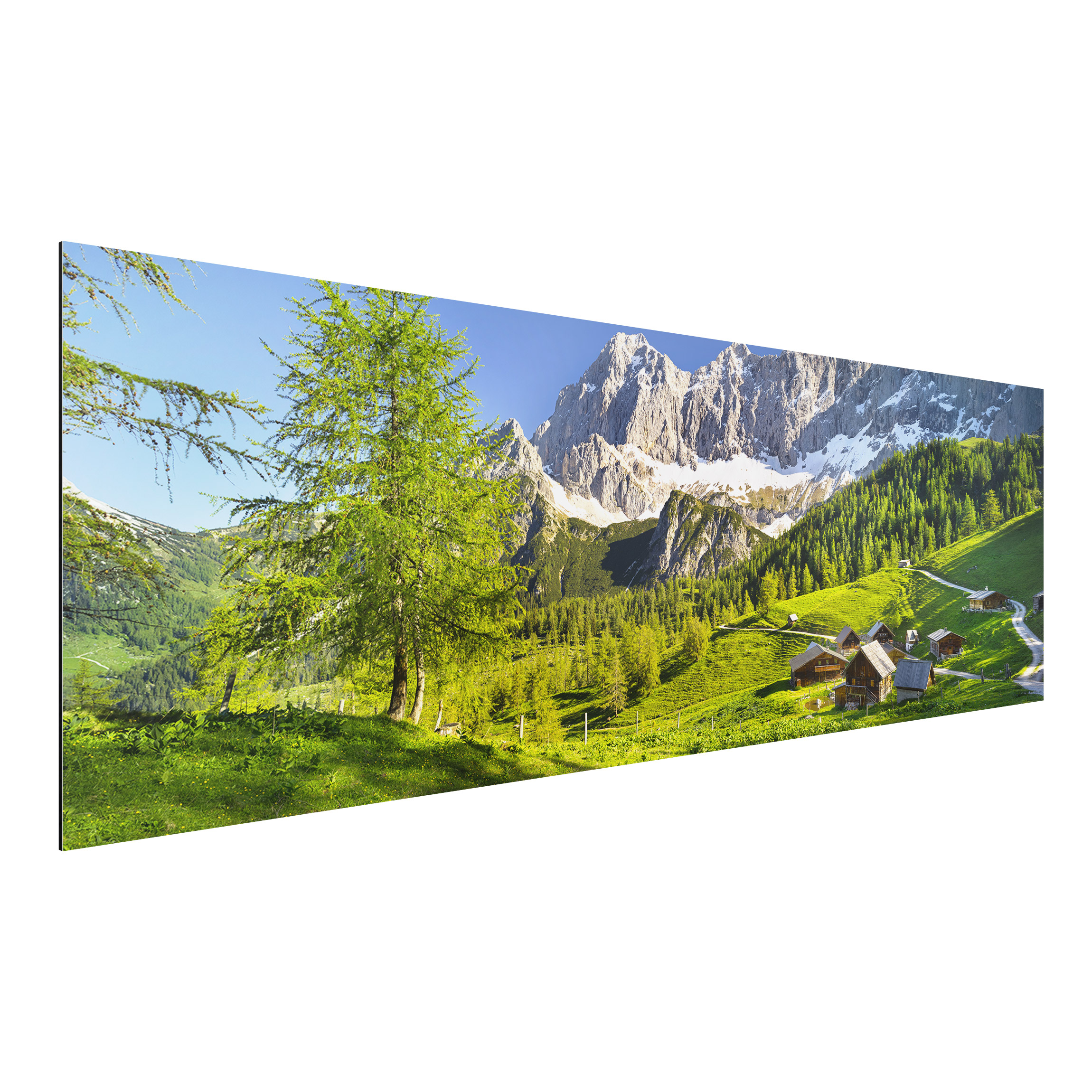 Alu-Dibond Outdoor Bild Steiermark Almwiese