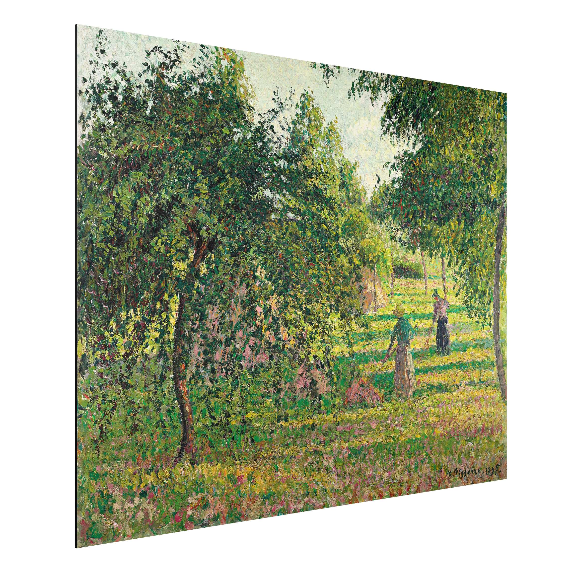 Alu-Dibond Outdoor Bild Camille Pissarro - Apfelbäume