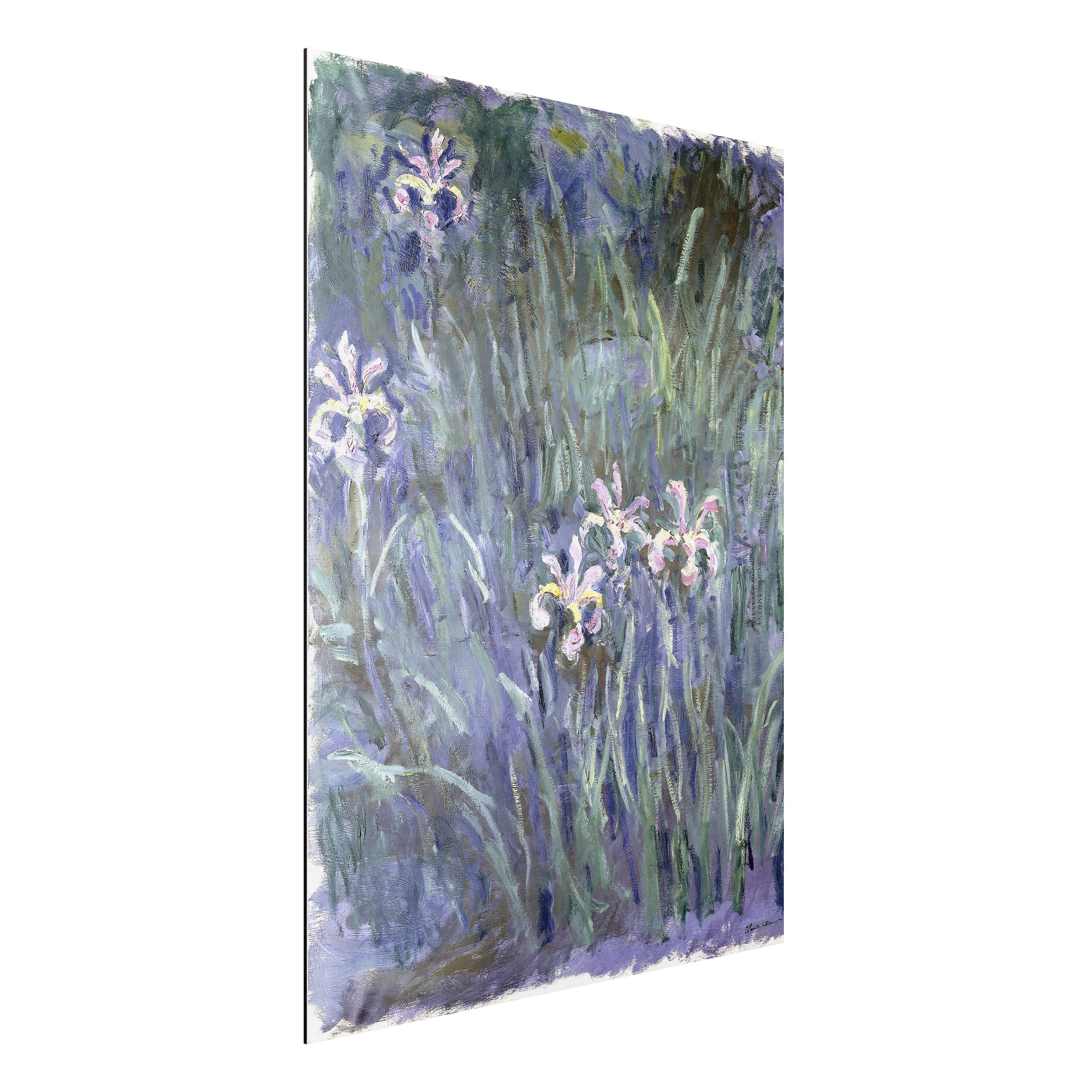 Alu-Dibond Outdoor Bild Claude Monet - Schwertlilien